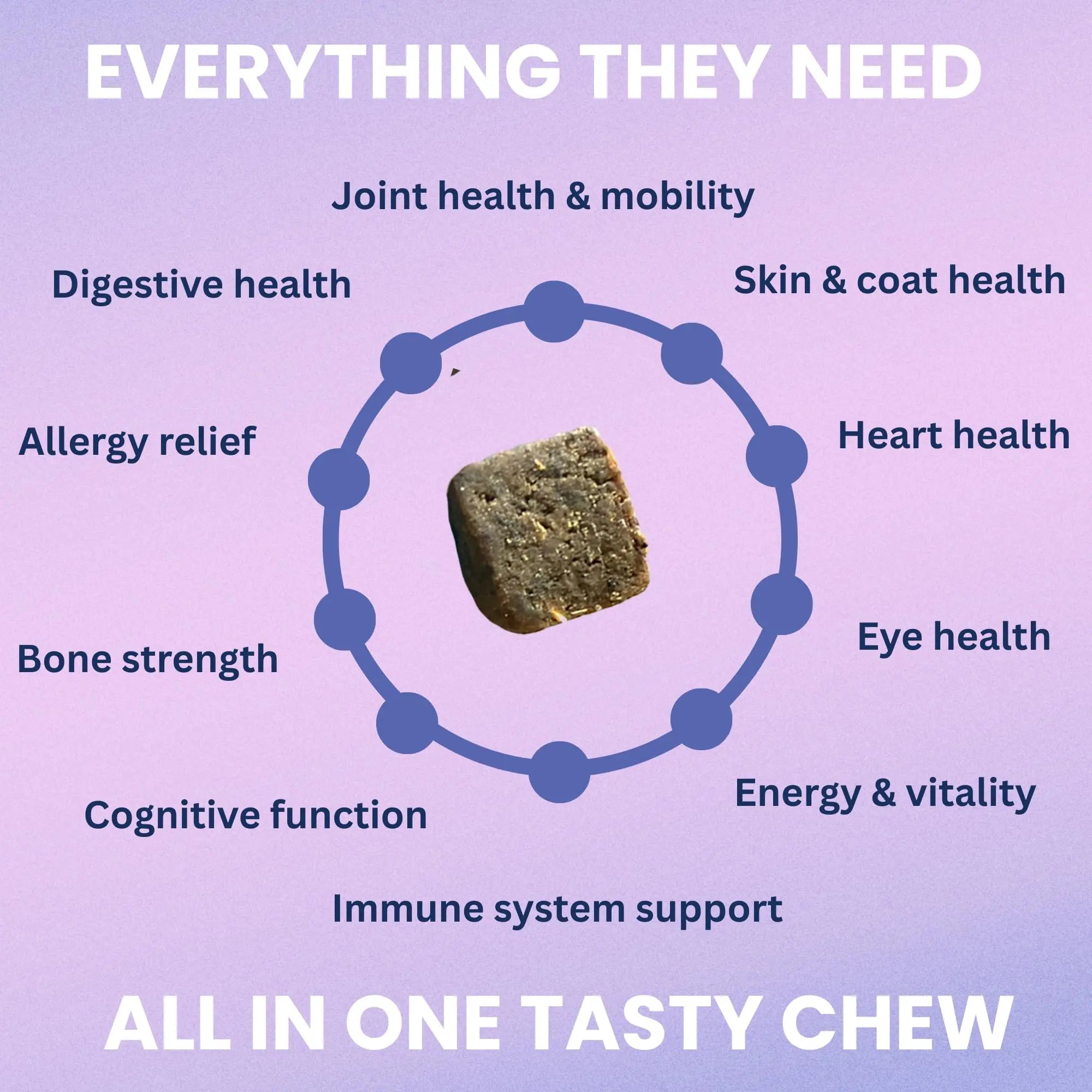 Under the Weather Multivitamin for Dogs | Vet Formulated Daily Canine Health Supplies for Immunity, Skin, Coat & Joint Support | All-in-One Multivitamin for Dogs of All Breeds & Sizes | 60 Count Under the Weathernz supplements