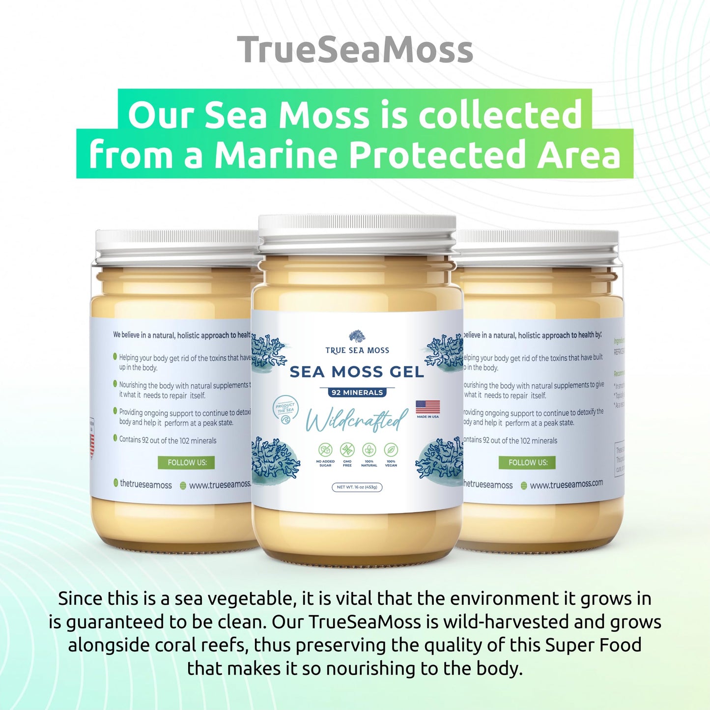 TrueSeaMoss Wildcrafted Irish Sea Moss Gel – Nutritious Raw Seamoss Rich in Minerals TrueSeaMossUS supplements