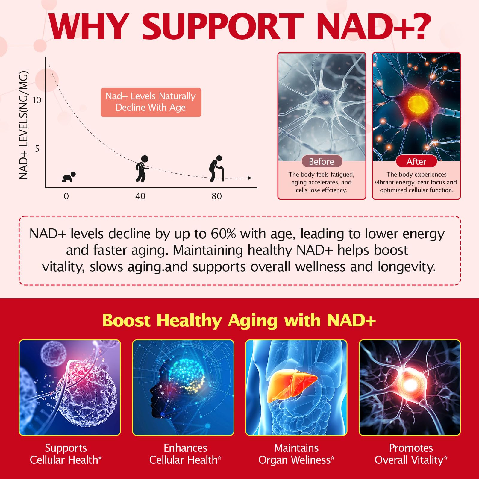 KITNOBLIS NAD+ Supplement for Women 1000mg - High Potency Cellular Energy Booster with PQQ, Resveratrol - Health, Anti-Aging Support （21pcs） KITNOBLISAu supplements