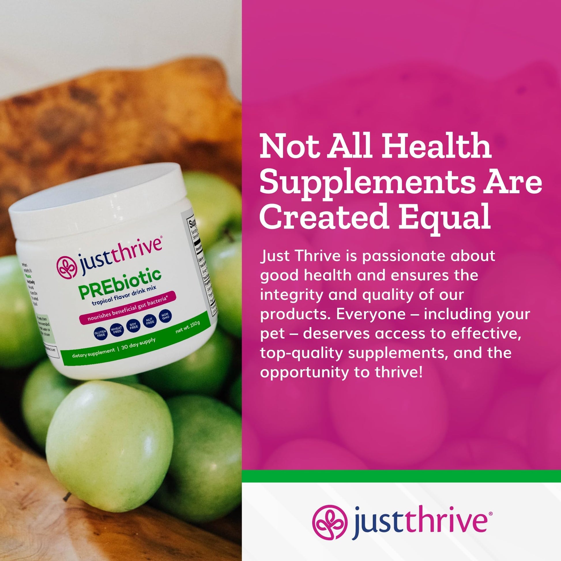 Just Thrive PREbiotic Powder - Digestive and Immune Support Supplement, 150 g Just ThriveUS supplements