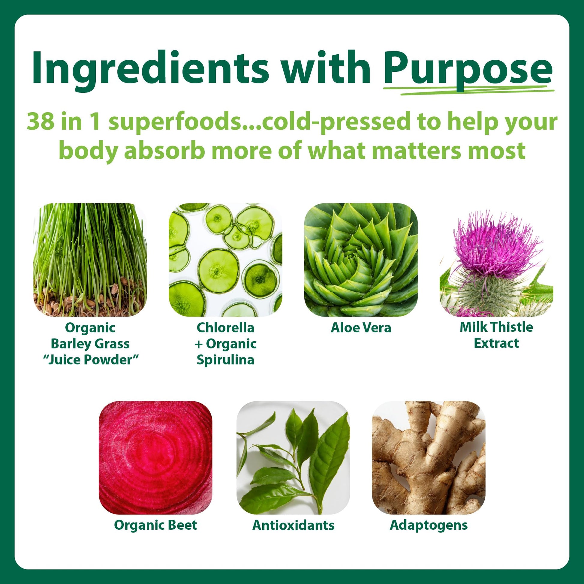 MacroLife Naturals Macro Greens Superfood Powder – 38 Superfoods with Probiotics, Digestive Enzymes & Adaptogens | Non GMO, Vegan, Gluten Free | 18B CFU | 10 oz (30 Servings) MacroLife NaturalsAu supplements
