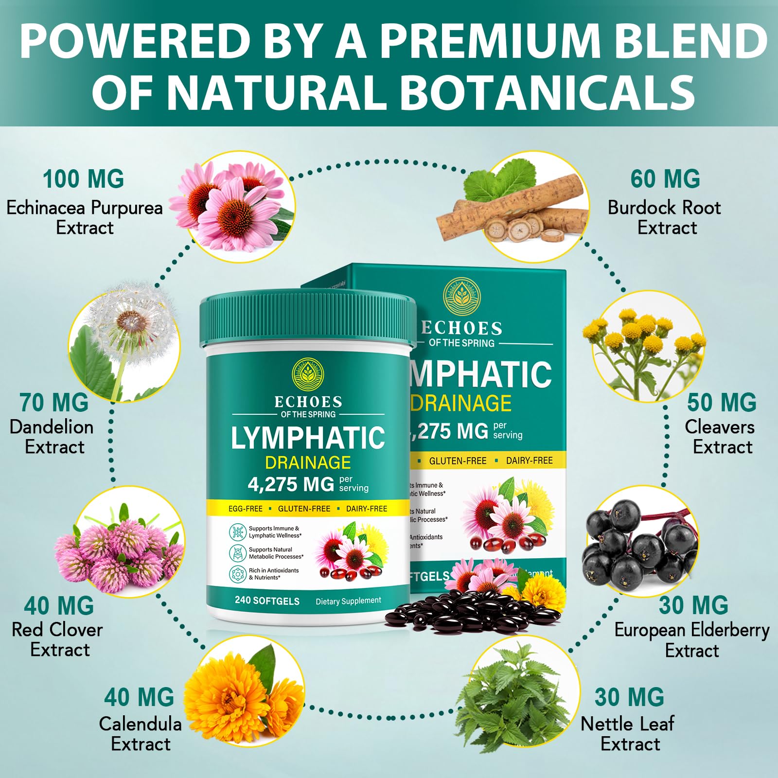 Lymphatic Drainage Supplements, 4275mg Lymph System Support Supplement for Women & Men, Daily Wellness Support, 21-in-1 Herbal Blend with Echinacea, Dandelion, Burdock, Turmeric & More, 240 Softgels Echoes of the springAu supplements