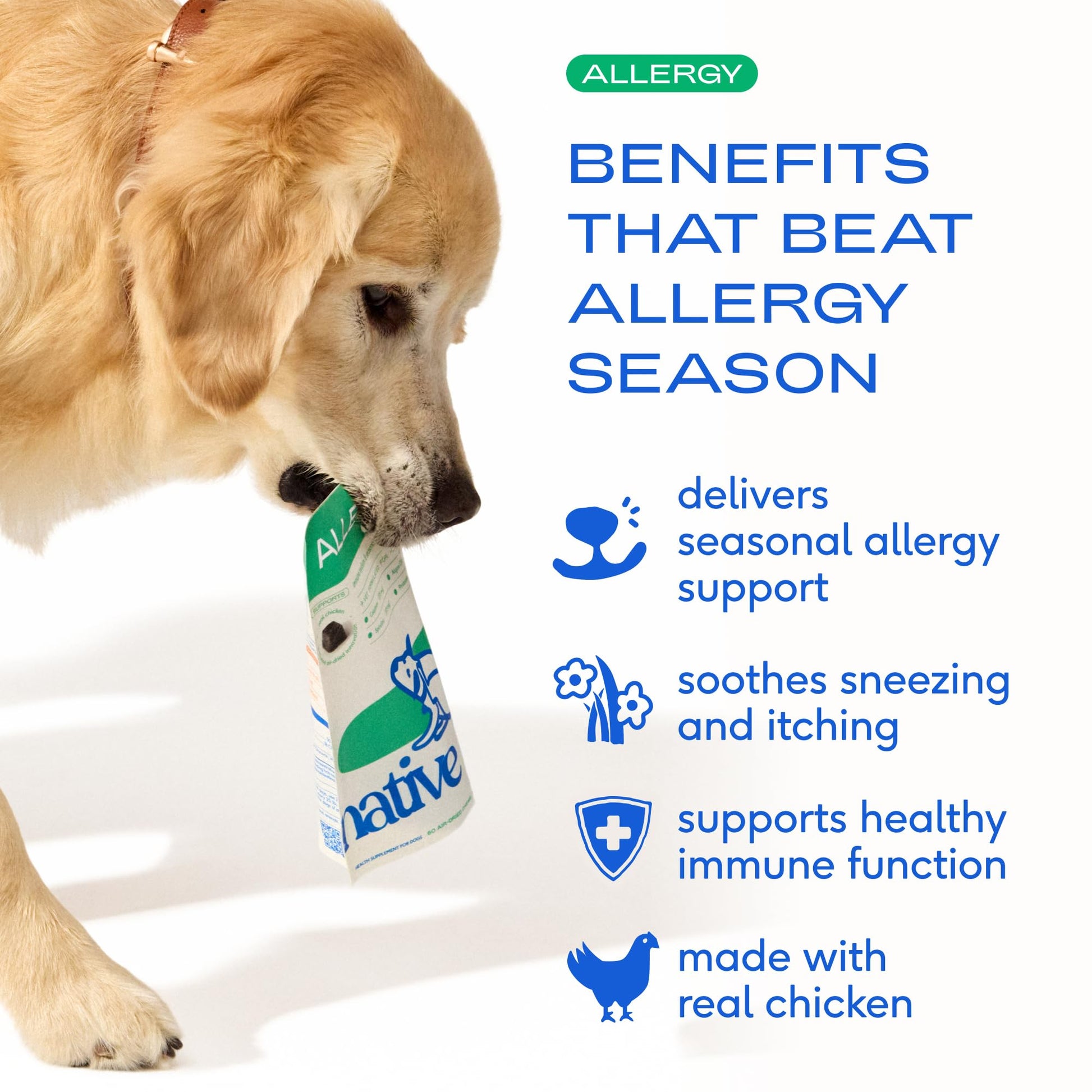 Native Pet Dog Allergy Chews - Dog Allergy Relief for Medium Breeds - Supports Seasonal Itch Relief, Healthy Immune Function & Reduces Sneezing - Colostrum, Spirulina, & Probiotics - 30 Days Supply Native PetAu supplements