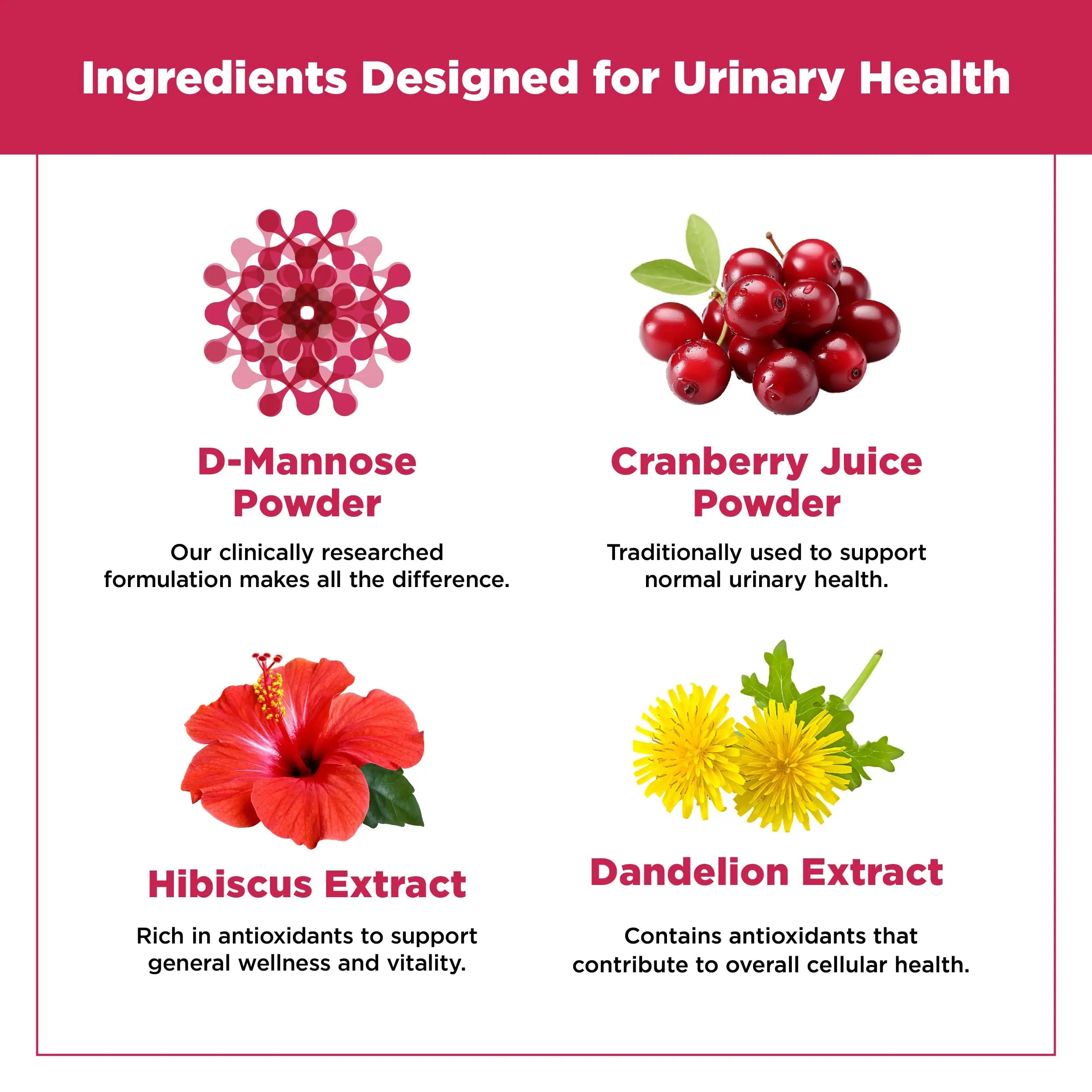 Plantvital D Mannose Capsules with Cranberry - D-mannose 1000mg Capsules - High Potency for Bladder, Kidney and Urinary Tract Support. Cranberry Powder with Hibiscus and Dandelion. 2 Months Supply PlantvitalAu supplements