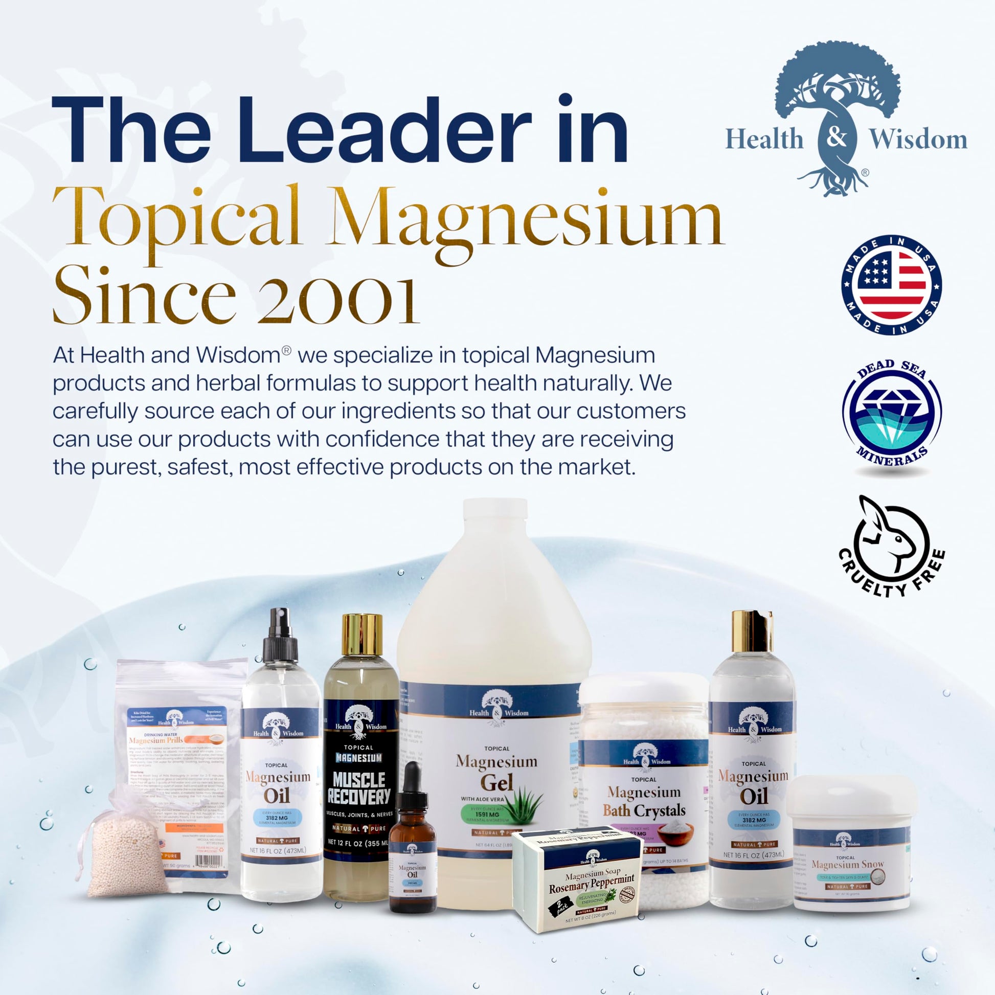 Health and Wisdom Pure Magnesium Gel with Seaweed Extract and Aloe Vera - Topical Muscle & Joint Relief- Natural and Pure Skin & Scalp Moisturizing - Enhanced Absorption - 12 Fl oz Health and WisdomAu supplements