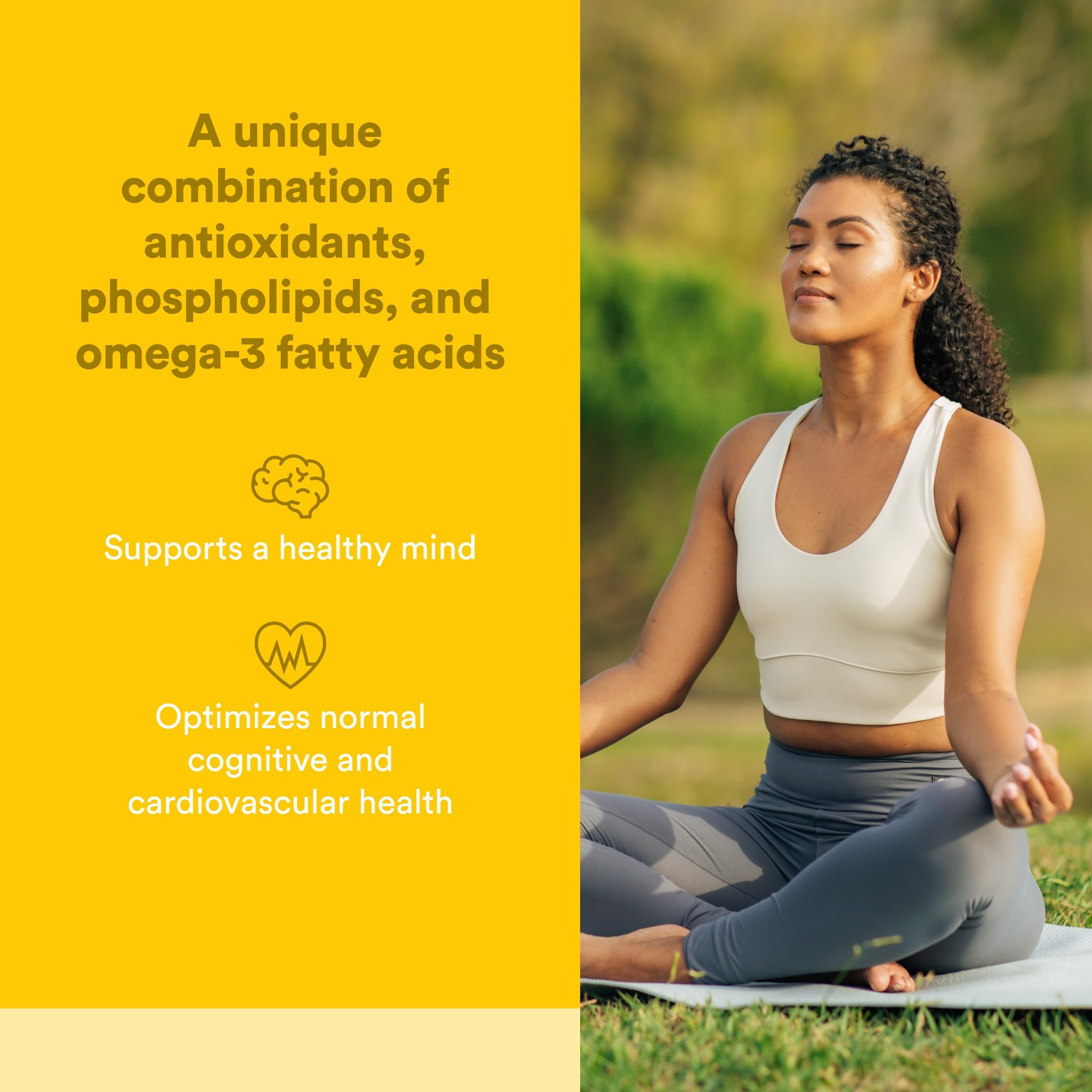 Natural Factors Higher Thoughts - Supports Cognitive & Cardiovascular Health* - Fish Oil, Fatty Acids, EPA, DHA & More - 90 Softgels Natural FactorsAu supplements