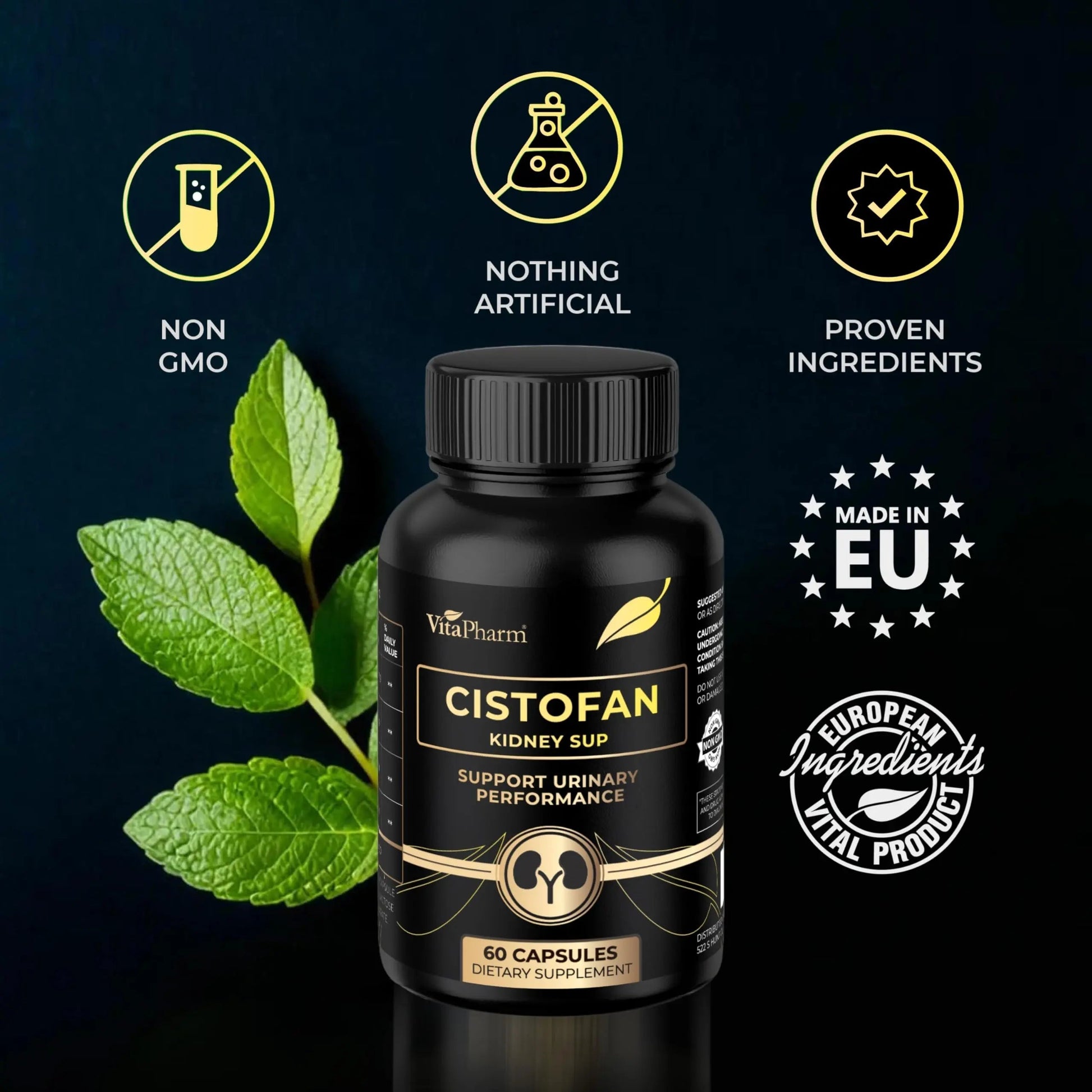 CISTOFAN Kidney Support Supplement – Herbal Formula with Java Tea, Birch Leaf, Parsley & Cranberry – Supports Urinary Tract & Kidney Function – Natural Diuresis – 60 Capsules – Non-GMO – Made in EU VitaPharmAu supplements