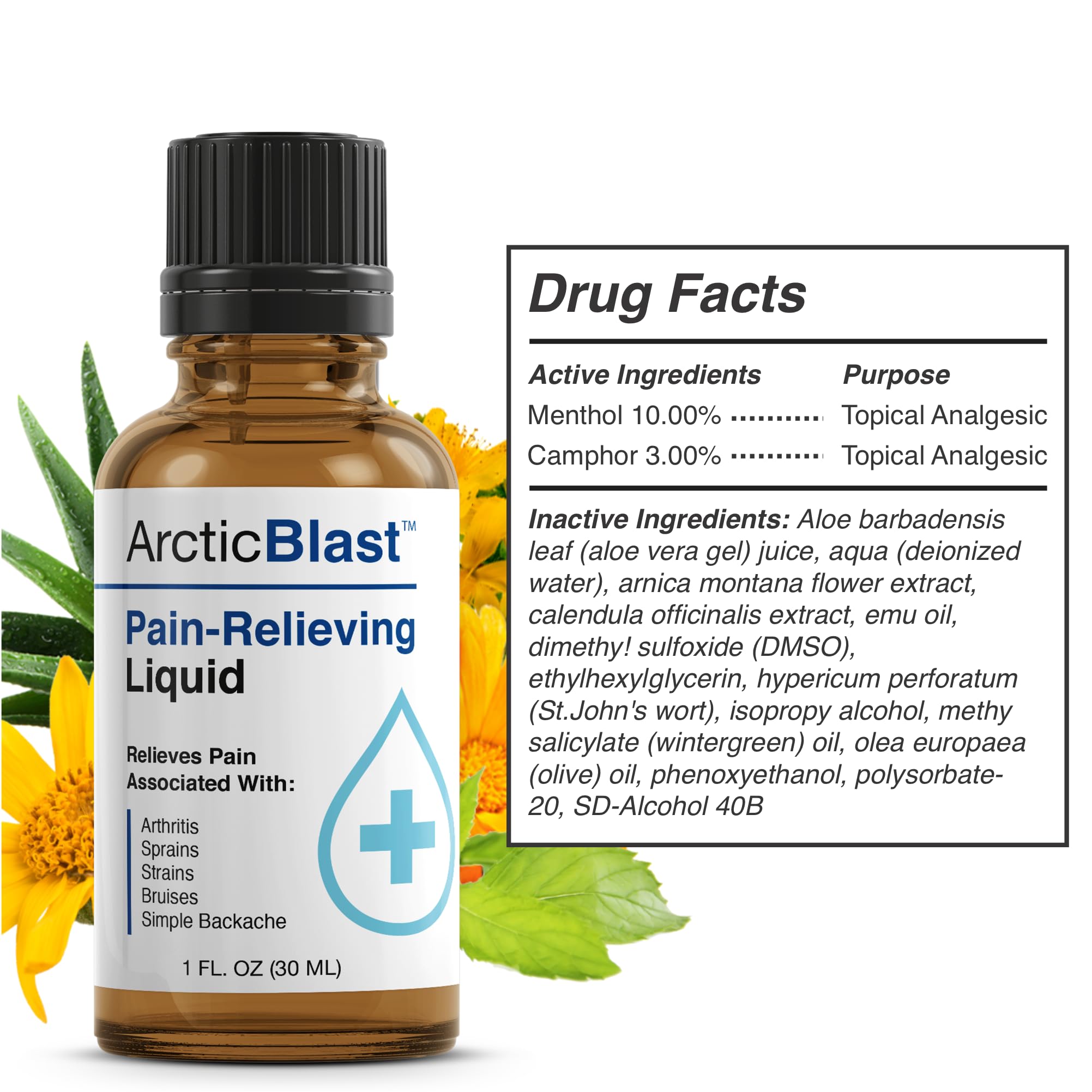 N Labs Arctic Blast Premium Topical Pain Relief Drops – Fast Absorbing DMSO, Menthol & Camphor for Back, Knee, Shoulder, Joint & Muscle Pain – Cooling Rub Formula – Made in USA – 1 fl oz N-LabsAu supplements