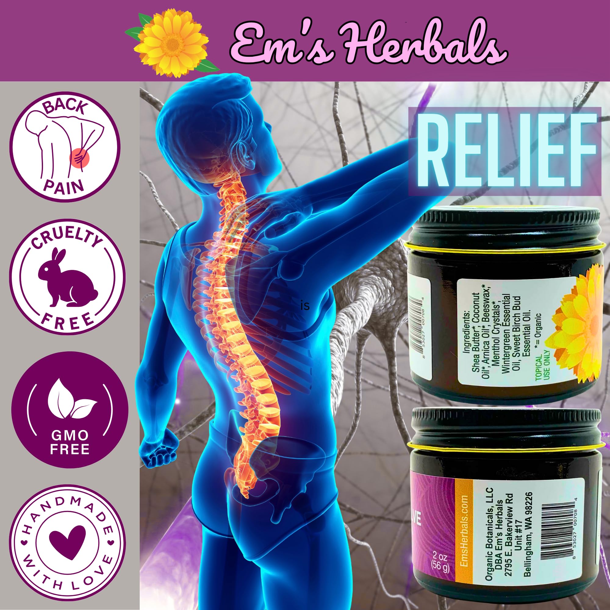 Em's Herbals, Muscle & Joint Care Arnica Salve - Amplified Arnica Salve Made with Menthol Crystals, and Effective Essential Oils to Penetrate Deep into Muscles, Joints, and Back Discomfort (2 oz) Em's HerbalsAu supplements