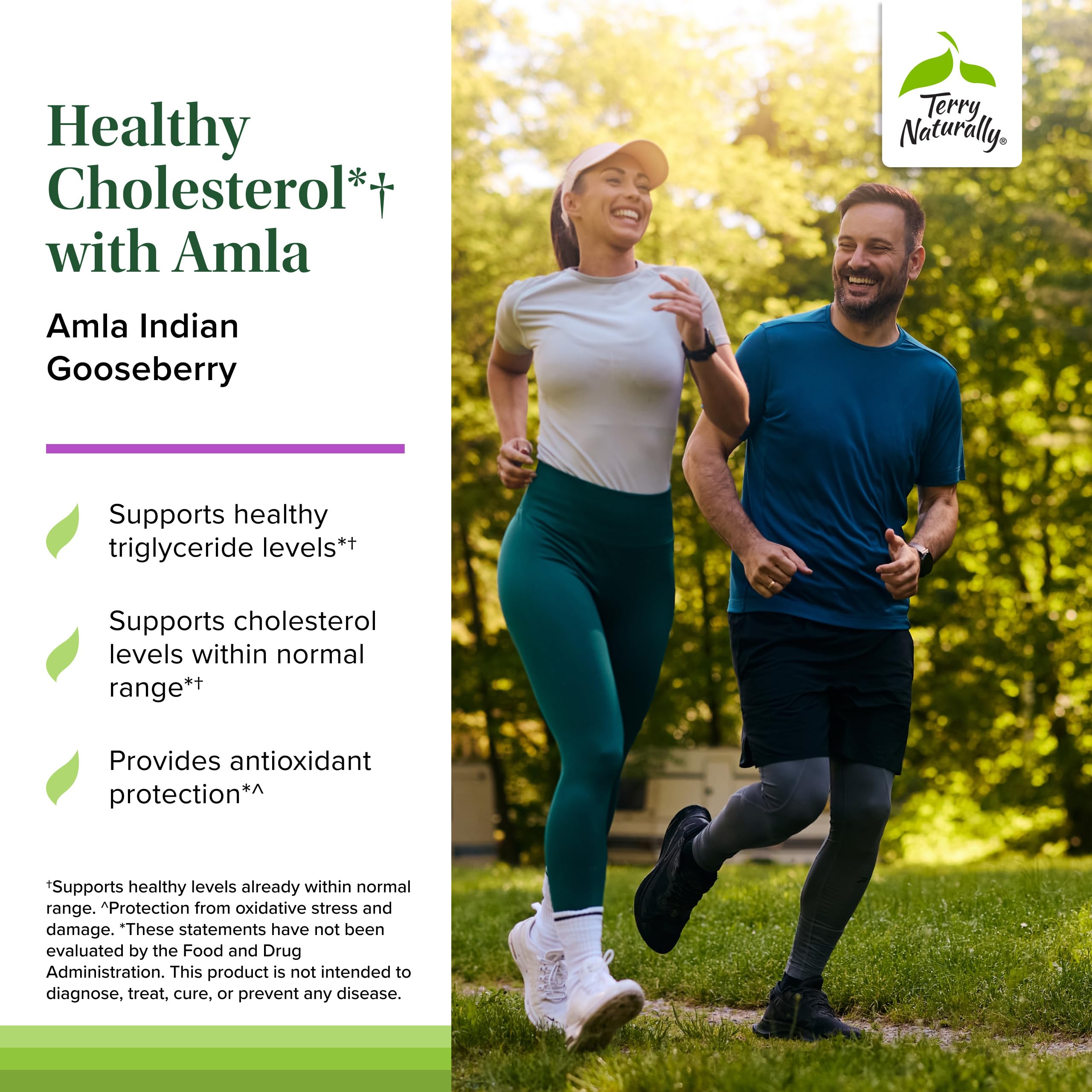Terry Naturally Healthy Cholesterol with Amla - Antioxidant Supplement for Immune & Heart Support - Supplement to Aid Healthy Cholesterol & Triglyceride - 60 Capsules Terry NaturallyAu supplements