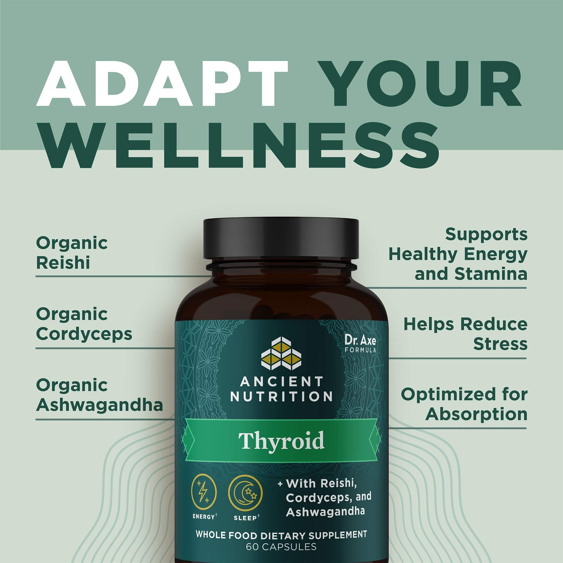 Ancient Nutrition Thyroid Support Supplement with Ashwaghanda, Thyroid Capsules Ancient NutritionAu supplements