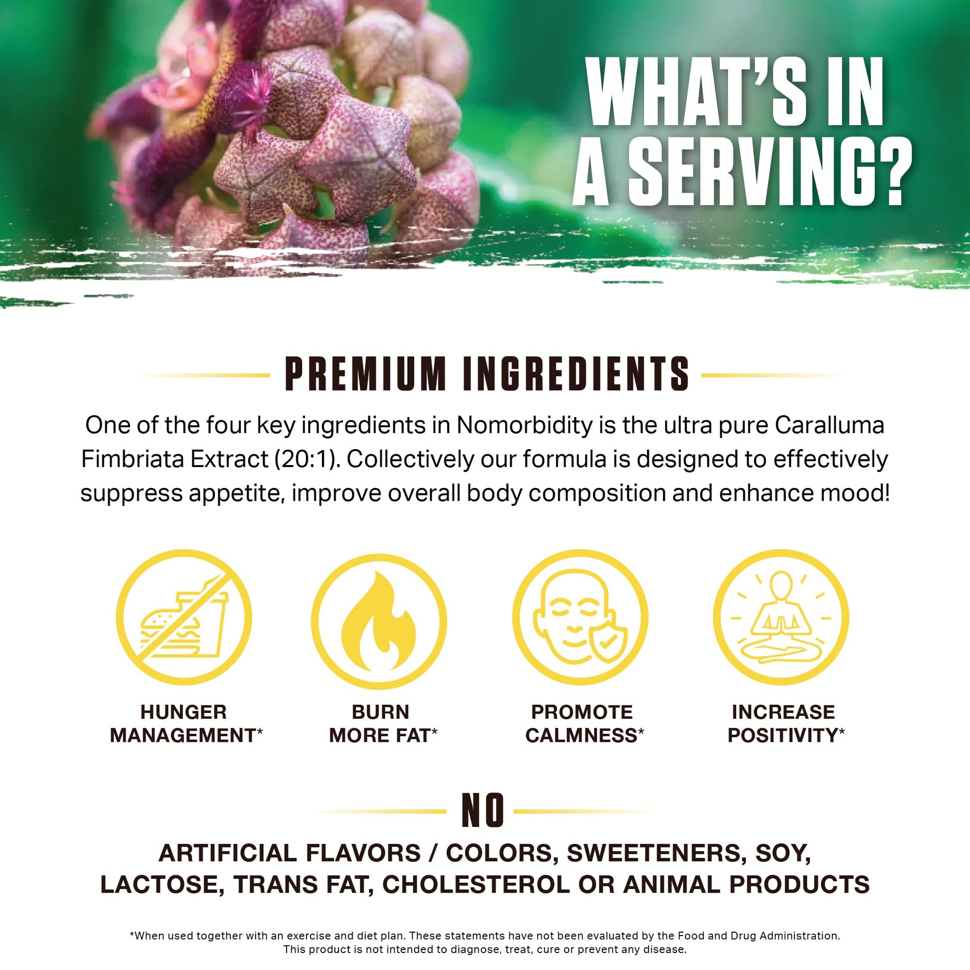 Ambrosia Nomorbidity Advanced Appetite Control & Hunger Management Formula AmbrosiaAu supplements