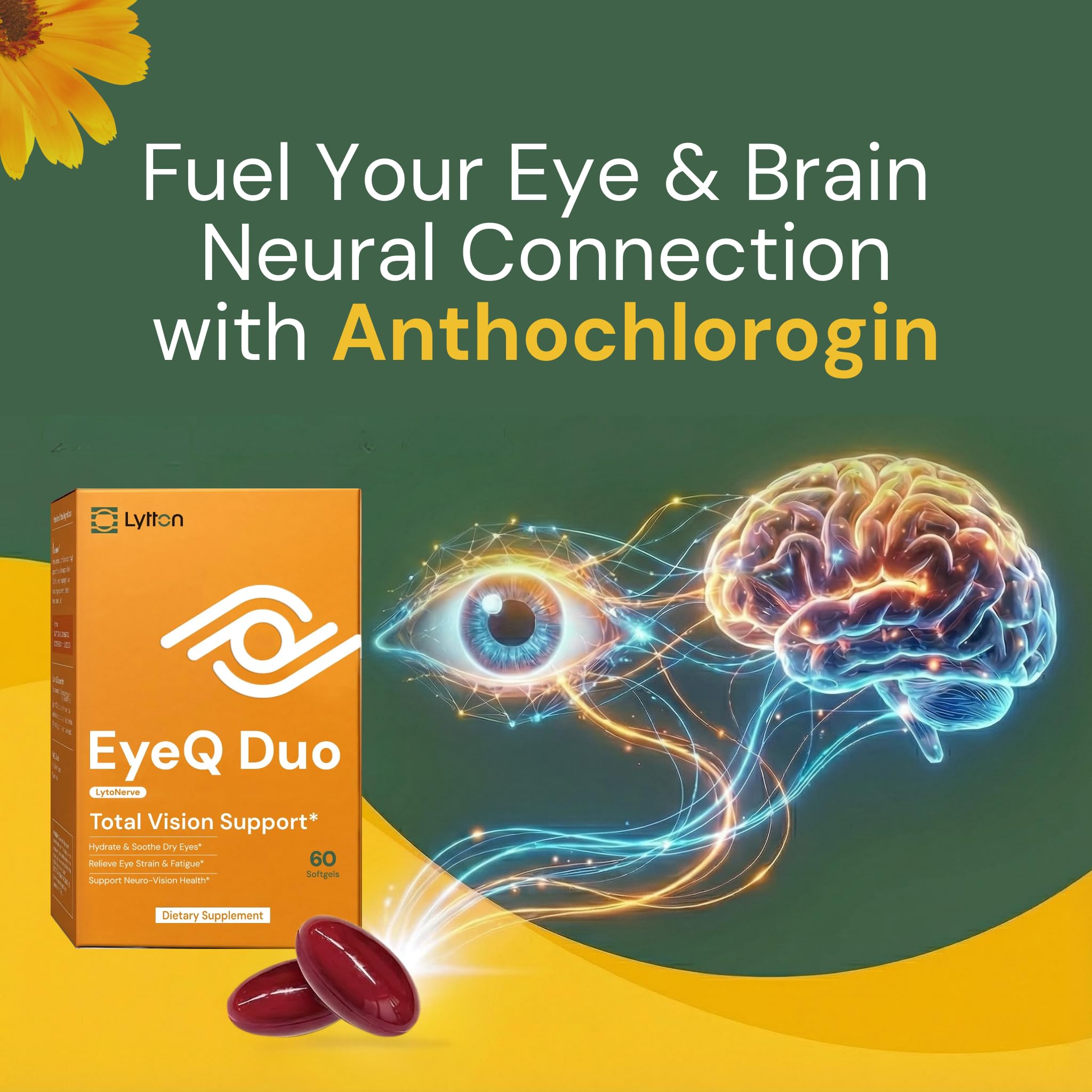 LYTTON EyeQ Duo Digital Eye & Focus Support – Patented Anthochlorogin for Brain-Eye Connection, Promotes Ocular Vitality – Rapid Visual Comfort & Natural Formula for Screen Users, 60 Softgels LYTTONAu supplements