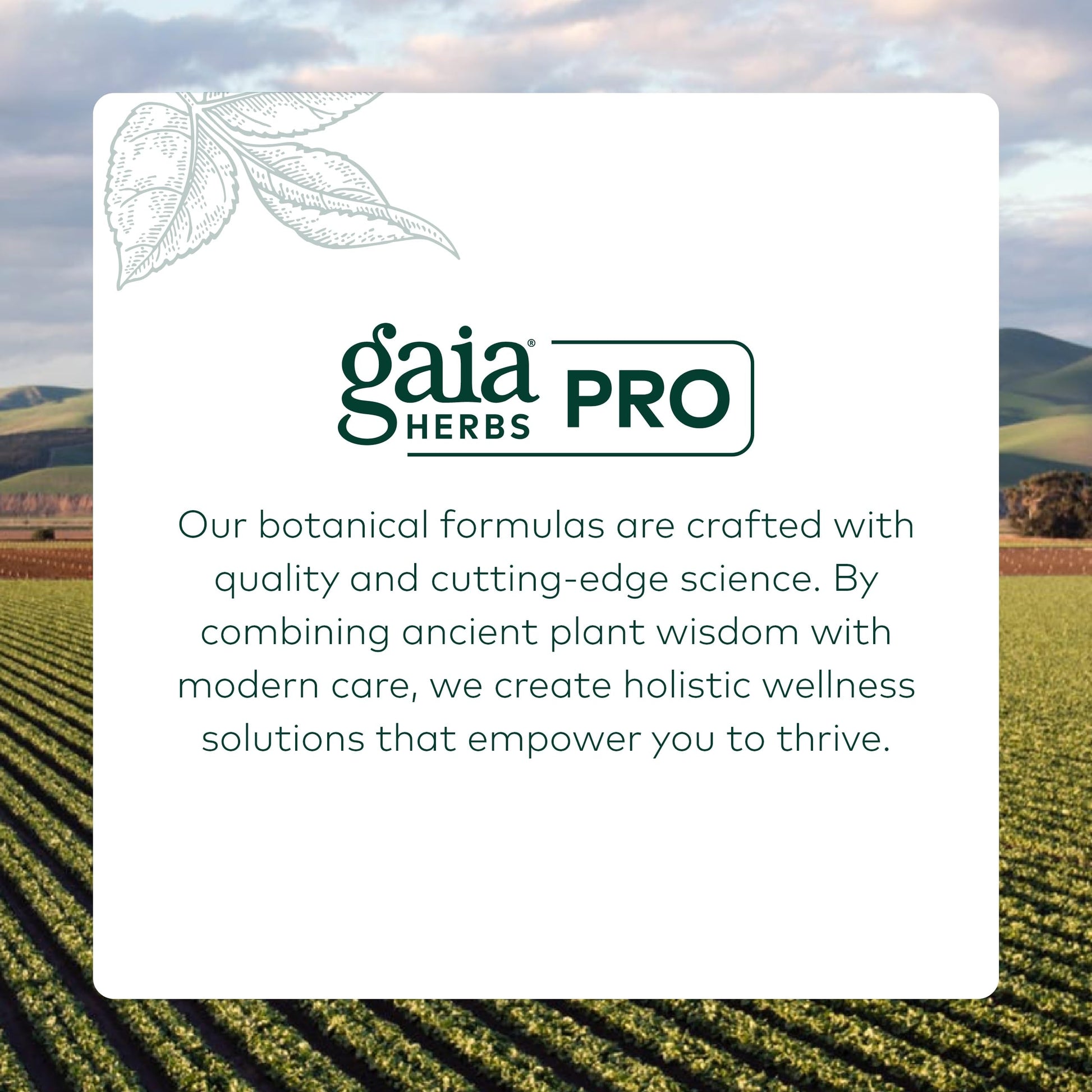 GAIA HERBS PRO Female Support Formula - Supports Healthy PMS & Menopause Fluctuations with Alfalfa Leaf, Black Cohosh Root Extract, Dandelion Root & More* - Vegan - 60 Liquid Phyto-Caps (60 Servings) Gaia Herbs PROAu supplements