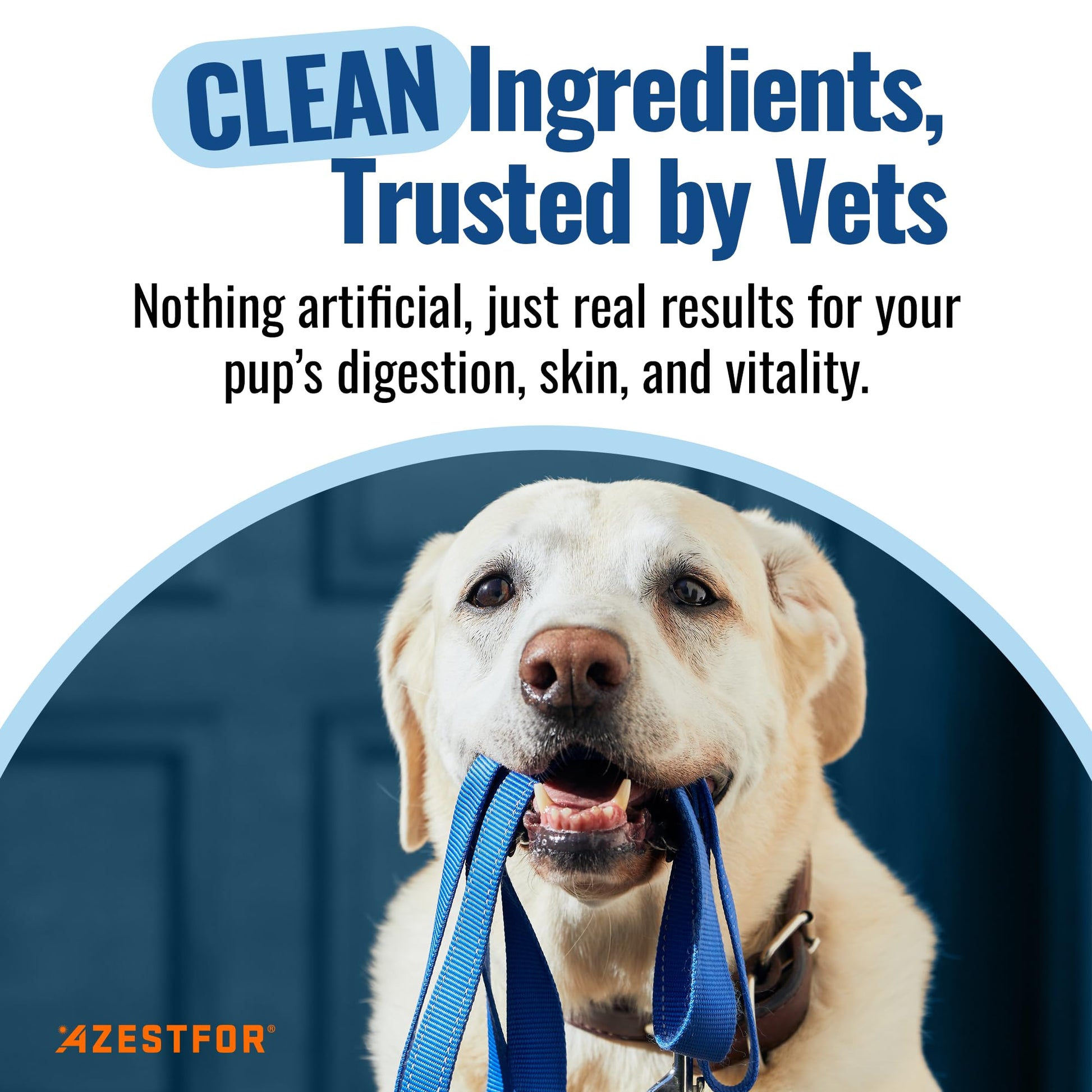 Azestfor Gut Health Supplement for Dogs – 3 in 1 Probiotic, Prebiotic & Postbiotic Blend – Supports Digestion, Immunity & Skin – Easy-to-Use Powder – for All Breeds & Sizes – 60g (30 Servings) AzestforAu supplements