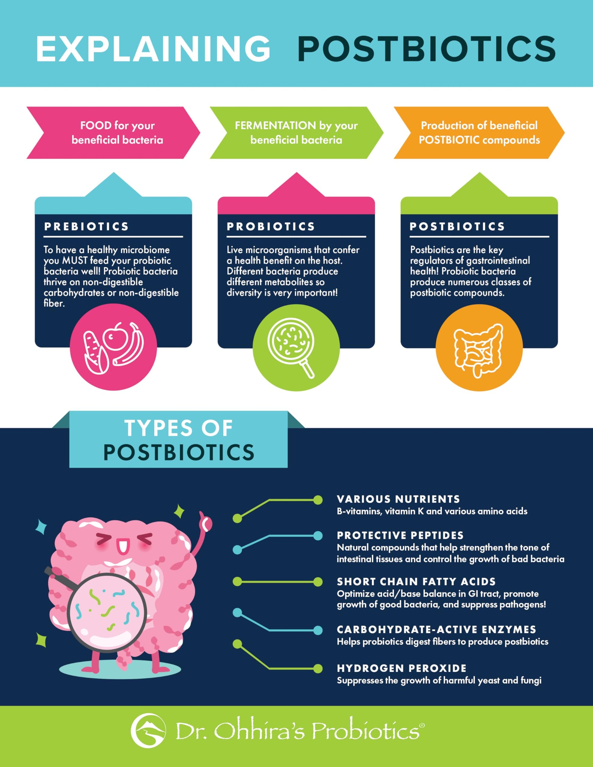 Essential Formulas Dr. Ohhira’s Probiotics Original Formula with 3 Year Fermented Prebiotics, Live Active Probiotics and The only Product with Postbiotic Metabolites, 60 Capsules Essential FormulasAu supplements