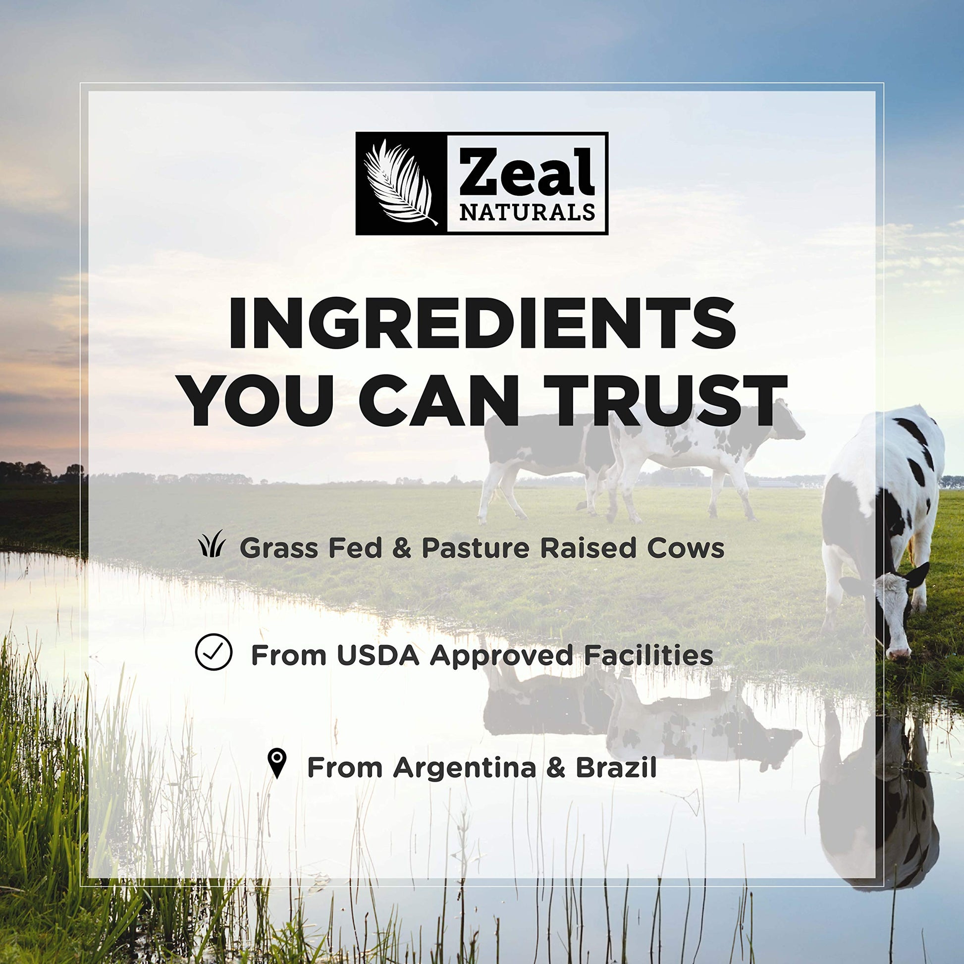 Zeal Naturals Collagen Peptides Collagen Pills (360 Capsules) Grass Fed Collagen Pepetide Powder - Hydrolyzed Collagen Powder for JointTendon SupplementHair Skin and Nails - Zeal NaturalsAu supplements