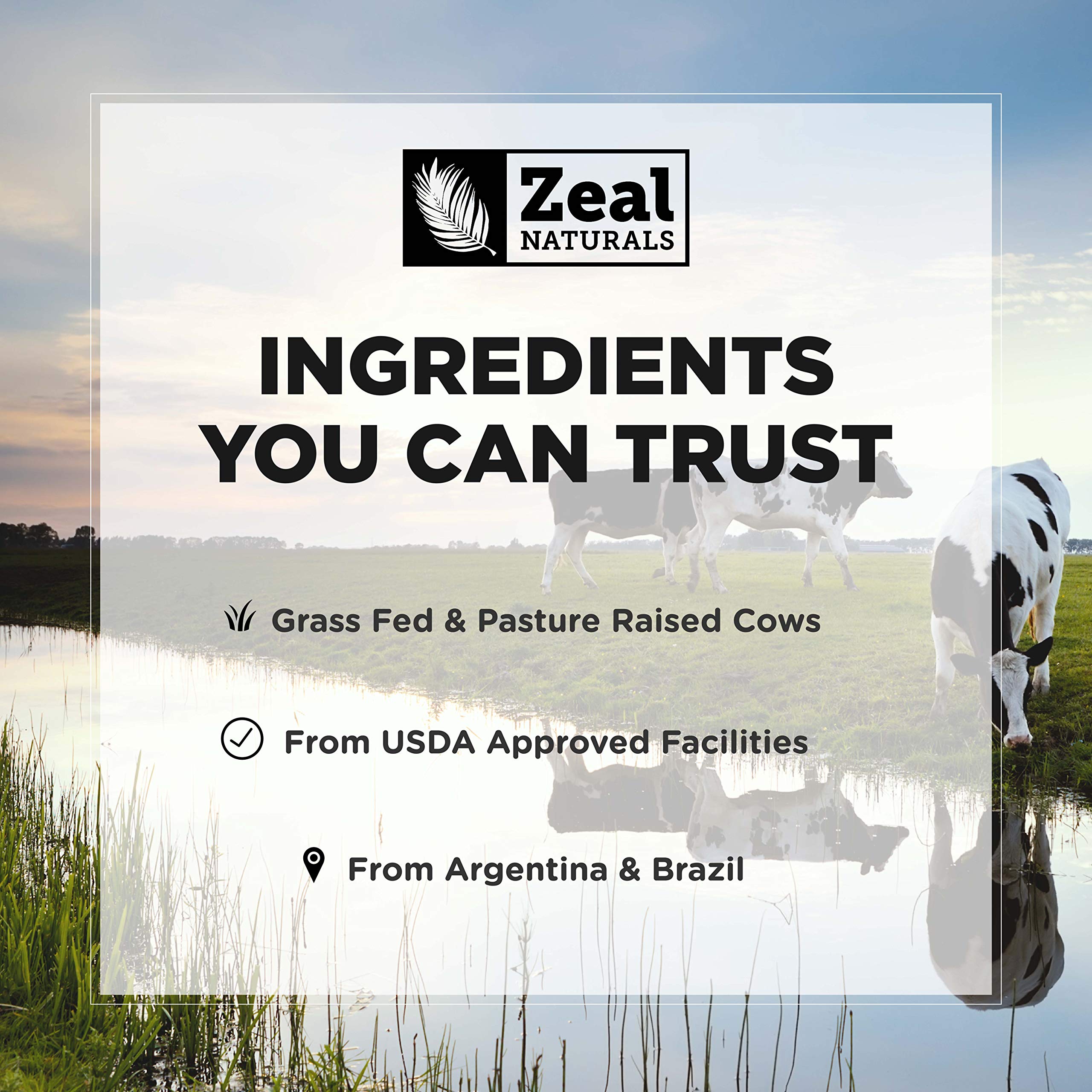 Zeal Naturals Collagen Peptides Collagen Pills (360 Capsules) Grass Fed Collagen Pepetide Powder - Hydrolyzed Collagen Powder for JointTendon SupplementHair Skin and Nails - Zeal NaturalsAu supplements