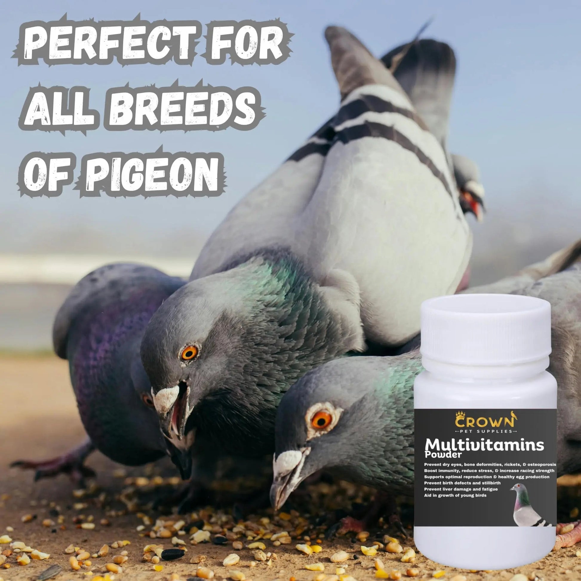 Multivitamin Powder for Pigeons – Ultimate Vitamin Formula for Racing & Breeding – Supports Growth, Bone Strength, Reproductive Health & Feather Health Crown Pet SuppliesAu supplements