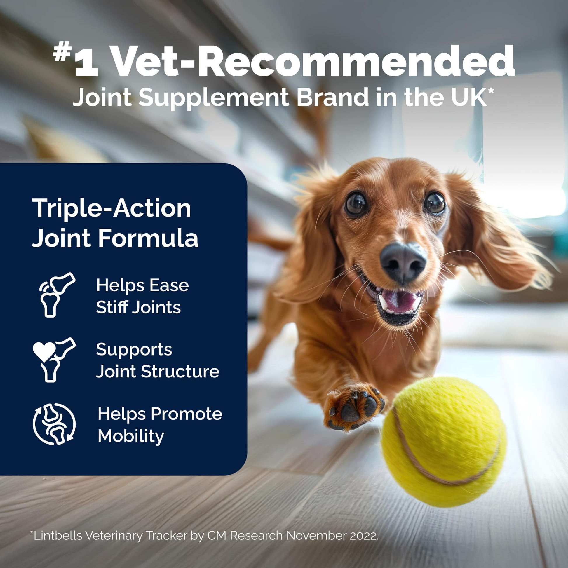 Yumove Hip & Joint Supplement for Dogs with Glucosamine, Hyaluronic Acid, Green Lipped Mussel & Omega 3 Joint Supplement - Regular or Advanced Strength (90 Count, Advanced Vet Strength Soft Chews) YuMOVEAu supplements