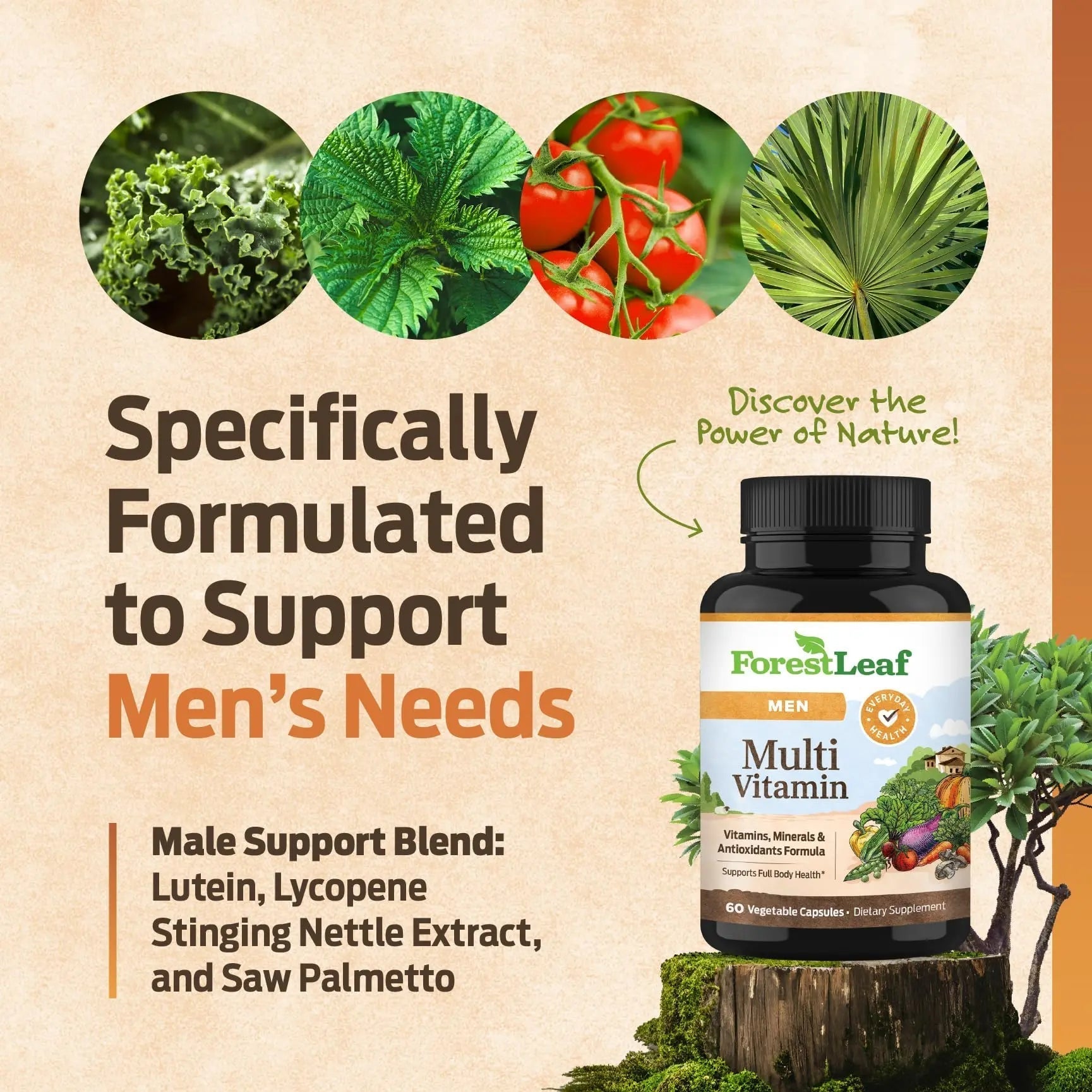 ForestLeaf Daily Vitamin Multivitamin for Men, Multi-Vitamin for Men - Mens Multivitamins & Multiminerals Supplement | ForestLeafAu supplements