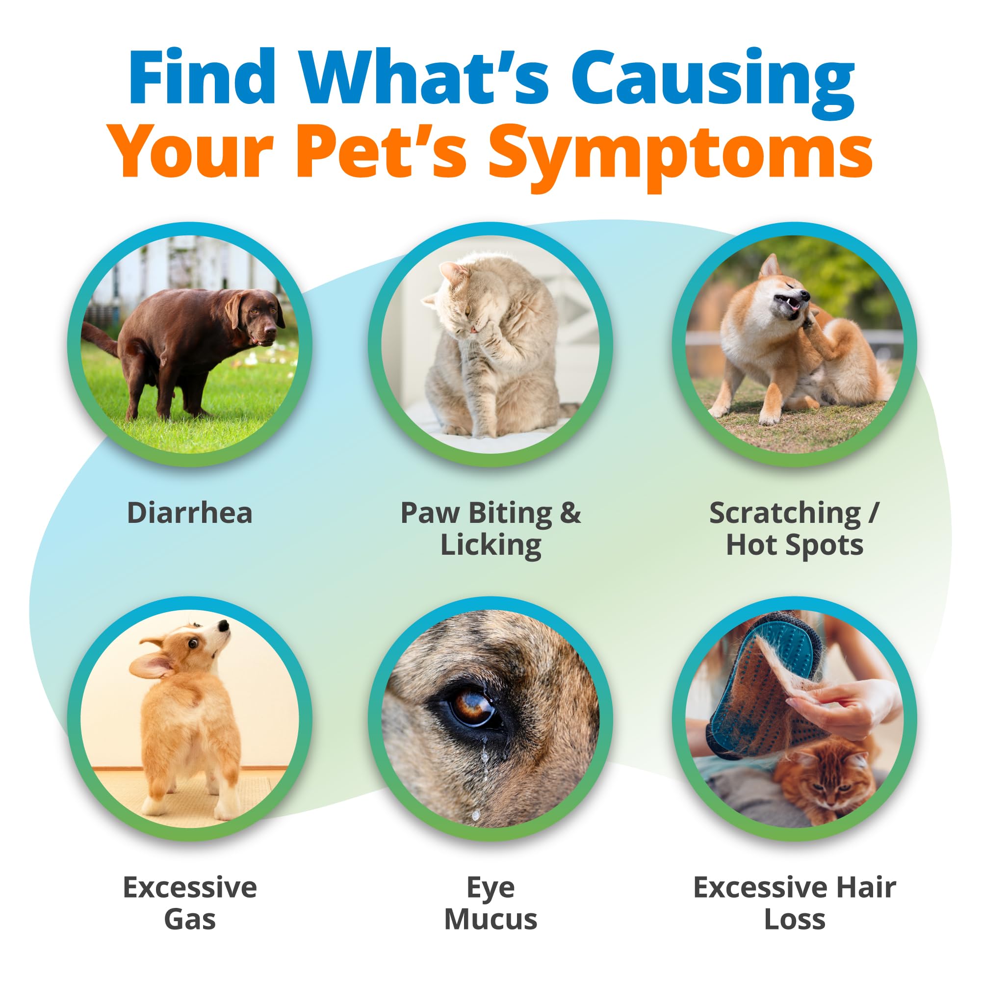 5Strands Raw & Fresh Pet Food Intolerance Test, at Home Gut Health Test for Dogs & Cats, 400+ Raw & Gently Cooked Fresh Food Items Tested, Accurate for All Ages & Breeds, Fast 4 Day Results 5StrandsAu supplements