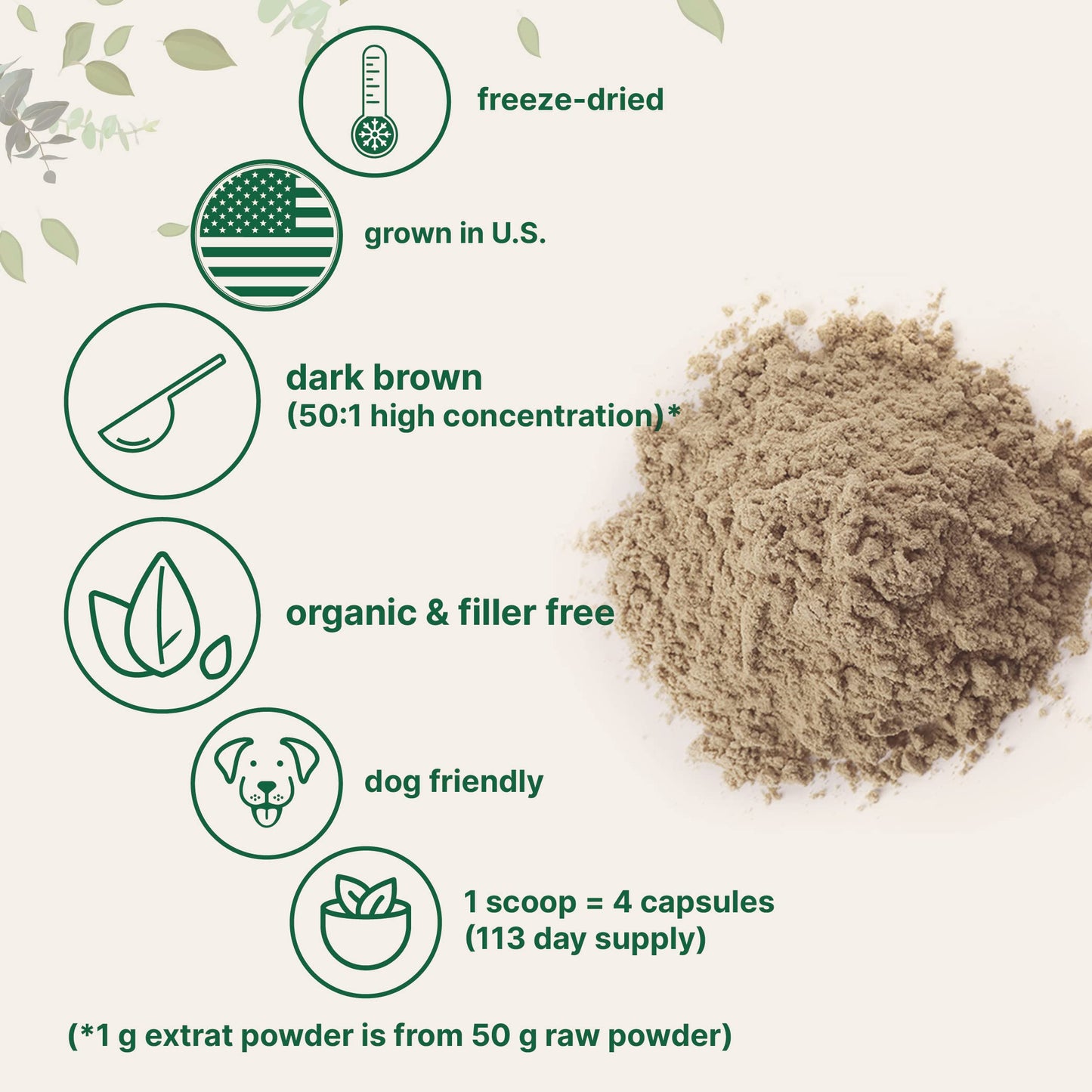 Organic Turkey Tail Mushroom Powder (50:1 Extract), 8 Ounce | Sustainably US Grown Micro IngredientsUS supplements