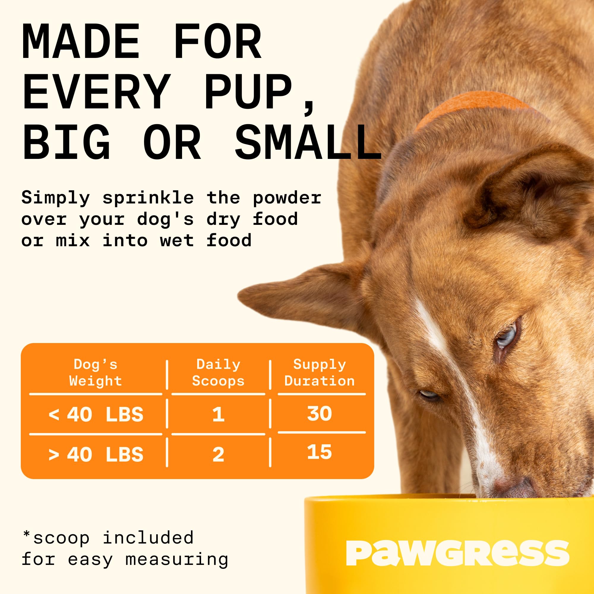 Pawgress 5-in-1 Dog Probiotic Powder – 100% Natural Gut Health Support with Prebiotics, Postbiotics & Enzymes - Made in USA – 30 Scoops PAWGRESSAu supplements
