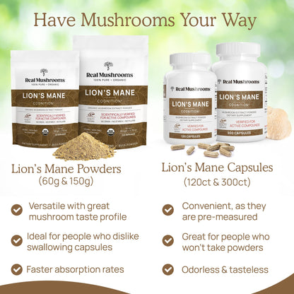 Real Mushrooms Lion’s Mane Capsules - Organic Lions Mane Mushroom Extract Real MushroomsUS supplements
