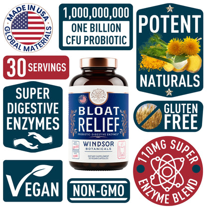 Bloat Relief Probiotic and Digestive Enzymes - Anti Bloating Turmeric, Fennel, Bromelain IBS WINDSOR BOTANICALSUS supplements