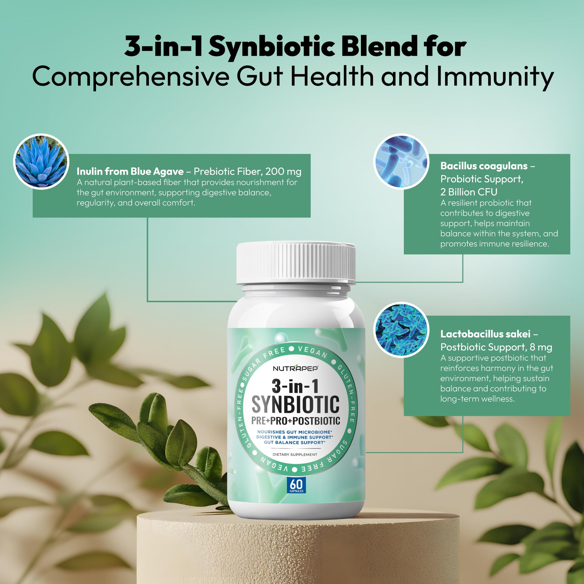 NutraPep Synbiotics Probiotic Prebiotic Postbiotic - Daily Gut Health Support with Pre Pro & Post Biotics for Men Women - Digestive & Immune Support Balance Synbiotic Supplement - Vegan Gluten Free NutraPepAu supplements