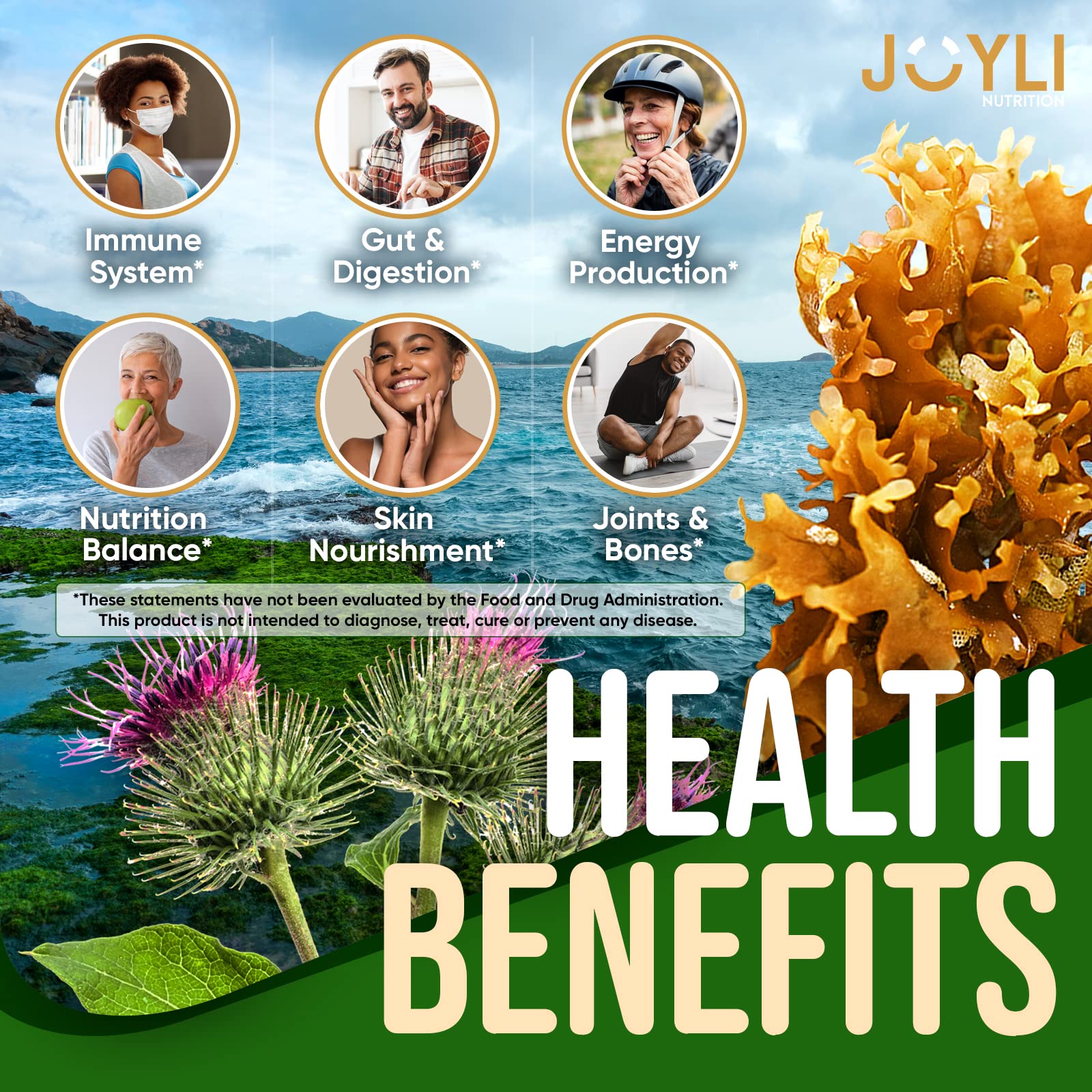 Sea Moss Gummies - Irish Seamoss Gummies for Adults & Kids - Advanced Superfood Supplement with Natural Sea Moss Gel, Bladderwrack & Burdock Root Extract - 60 Vegan Irish Moss Gummy Bears JOYLI NutritionUS supplements