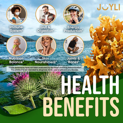 Sea Moss Gummies - Irish Seamoss Gummies for Adults & Kids - Advanced Superfood Supplement with Natural Sea Moss Gel, Bladderwrack & Burdock Root Extract - 60 Vegan Irish Moss Gummy Bears JOYLI NutritionUS supplements