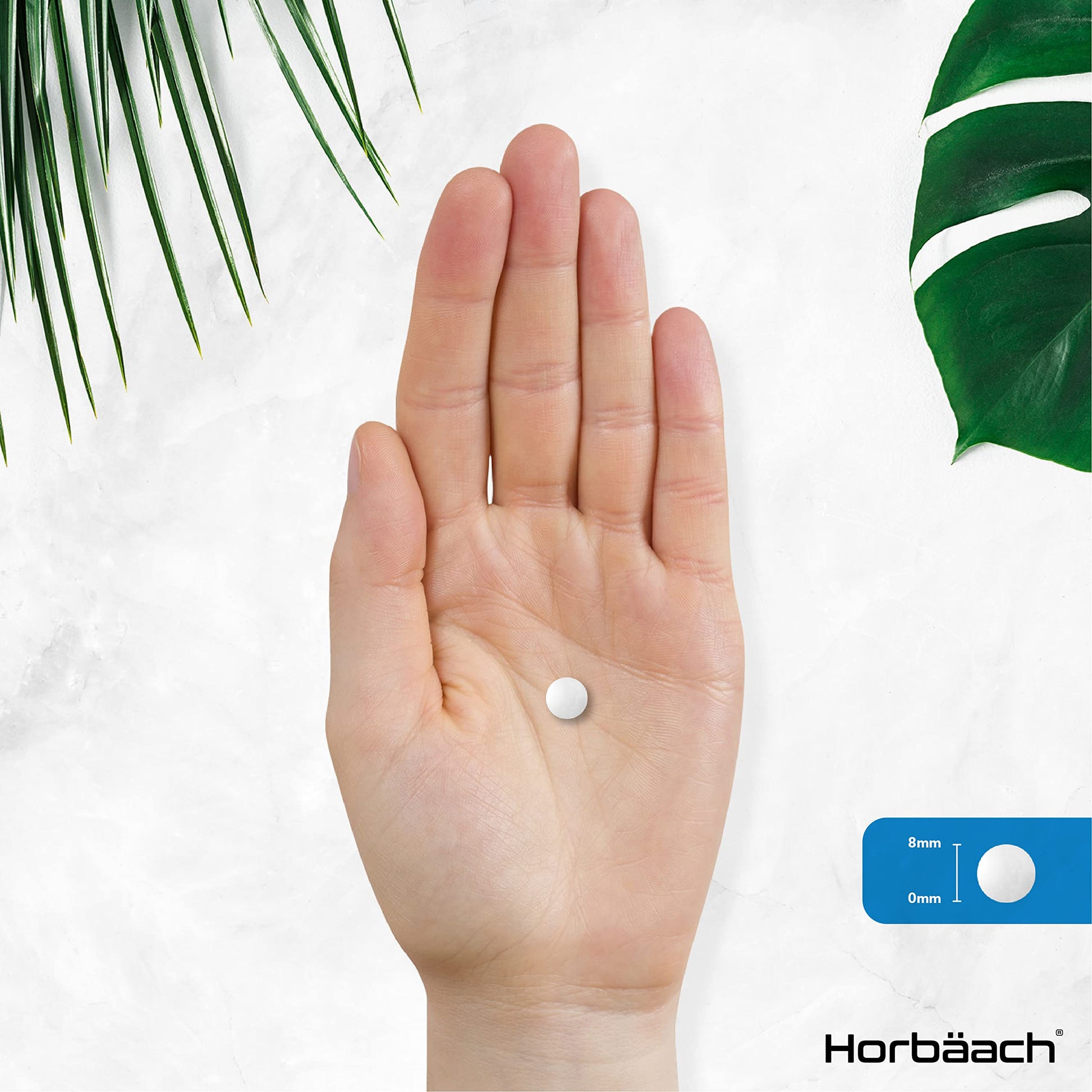 Vitamin B6 100mg | 180 High Strength Tablets | Regulation of Hormonal Activity & Fatigue HorbäachUS supplements