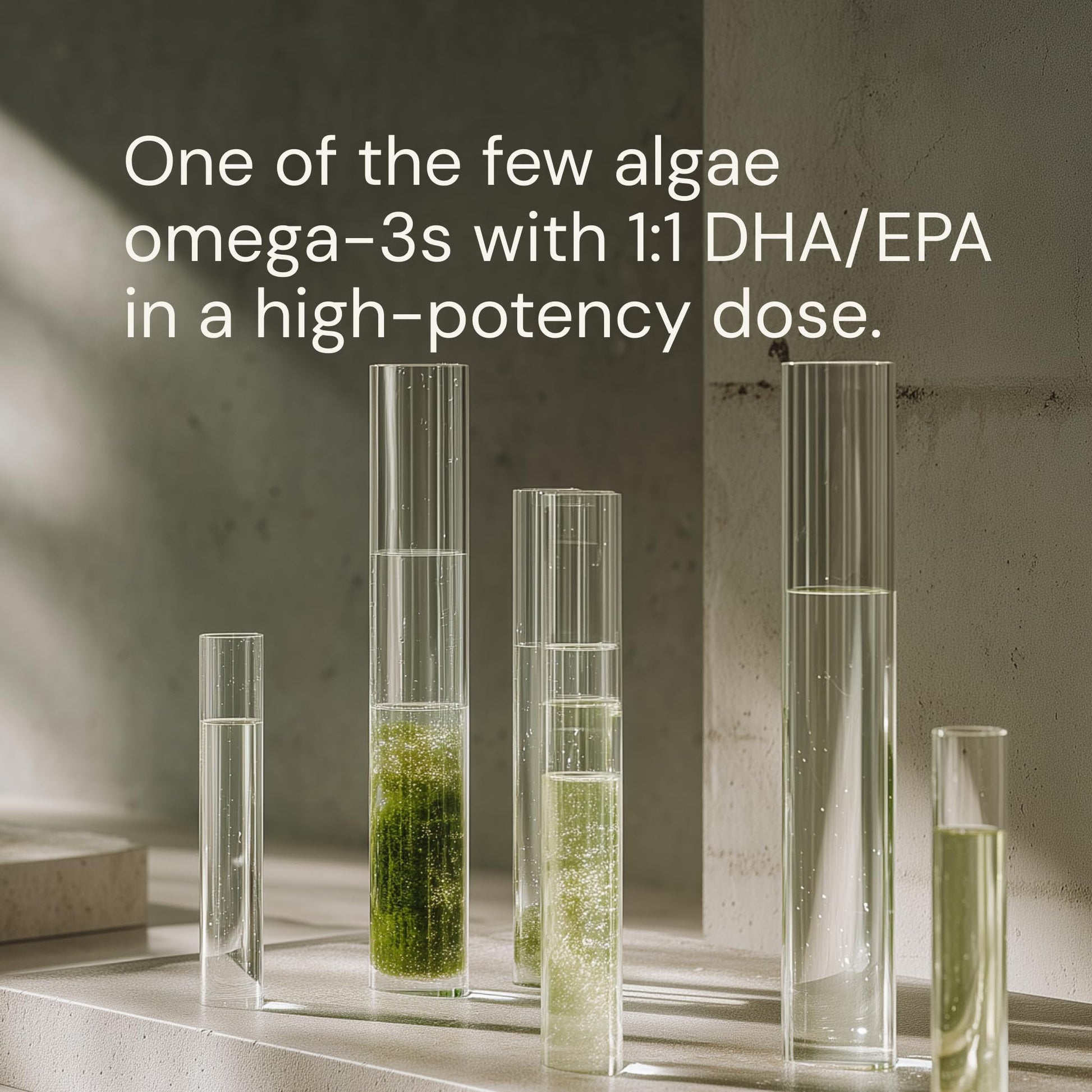 Blueprint Bryan Johnson Omega-3 - Vegan Algae Omega 3 Supplement with EPA/DHA - 800mg Plant-Based for Brain, Heart & Joint Support - High Absorption Triglyceride Form - 1:1 EPA/DHA Blueprint Bryan JohnsonAu supplements
