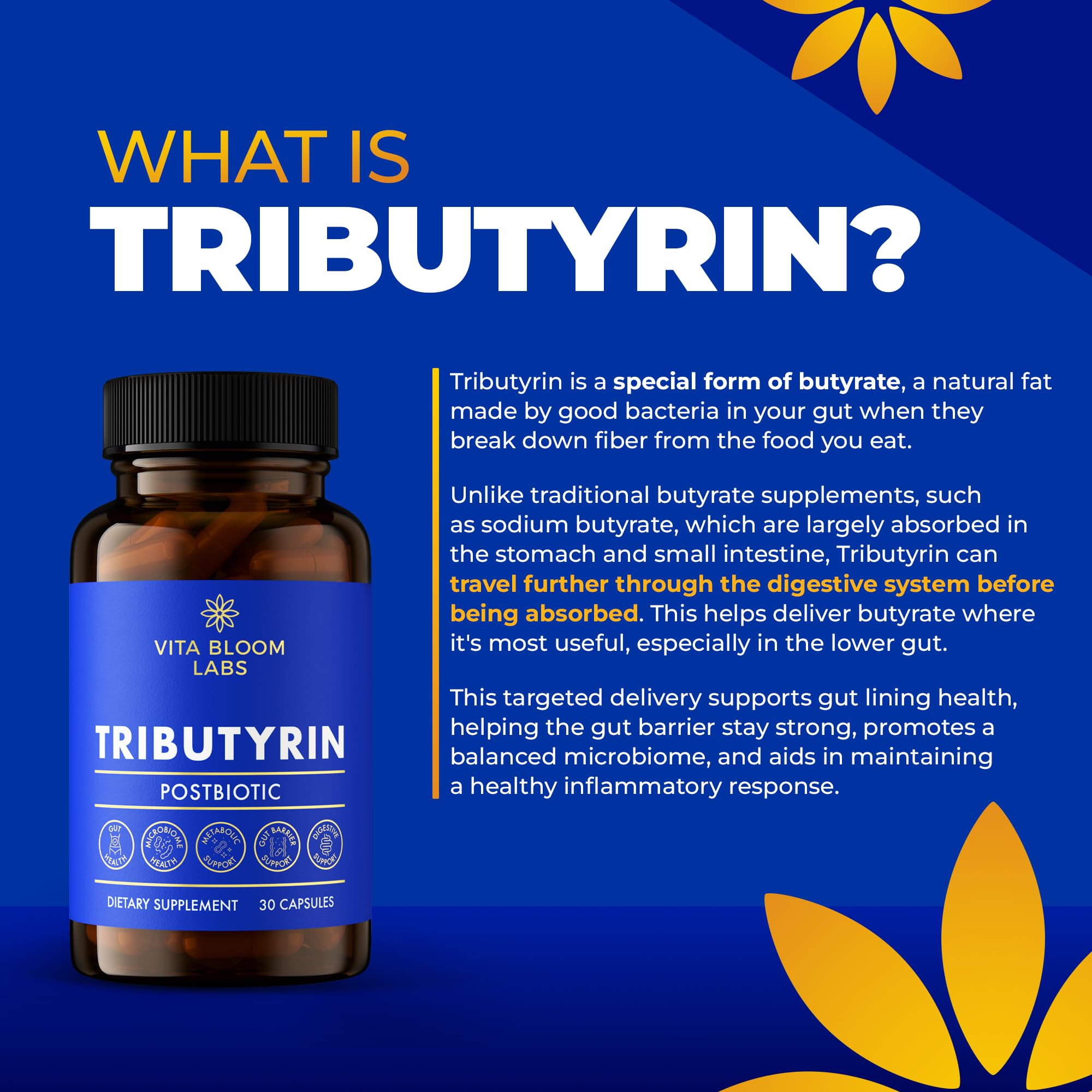 Tributyrin Supplement - Better Delivery & More Effective than Sodium Butyrate - Gut Health & Digestive Support - 3-in-1 Butyrate Postbiotics for Leaky Gut & Gut Barrier Support - 30 Capsules Vita Bloom LabsAu supplements