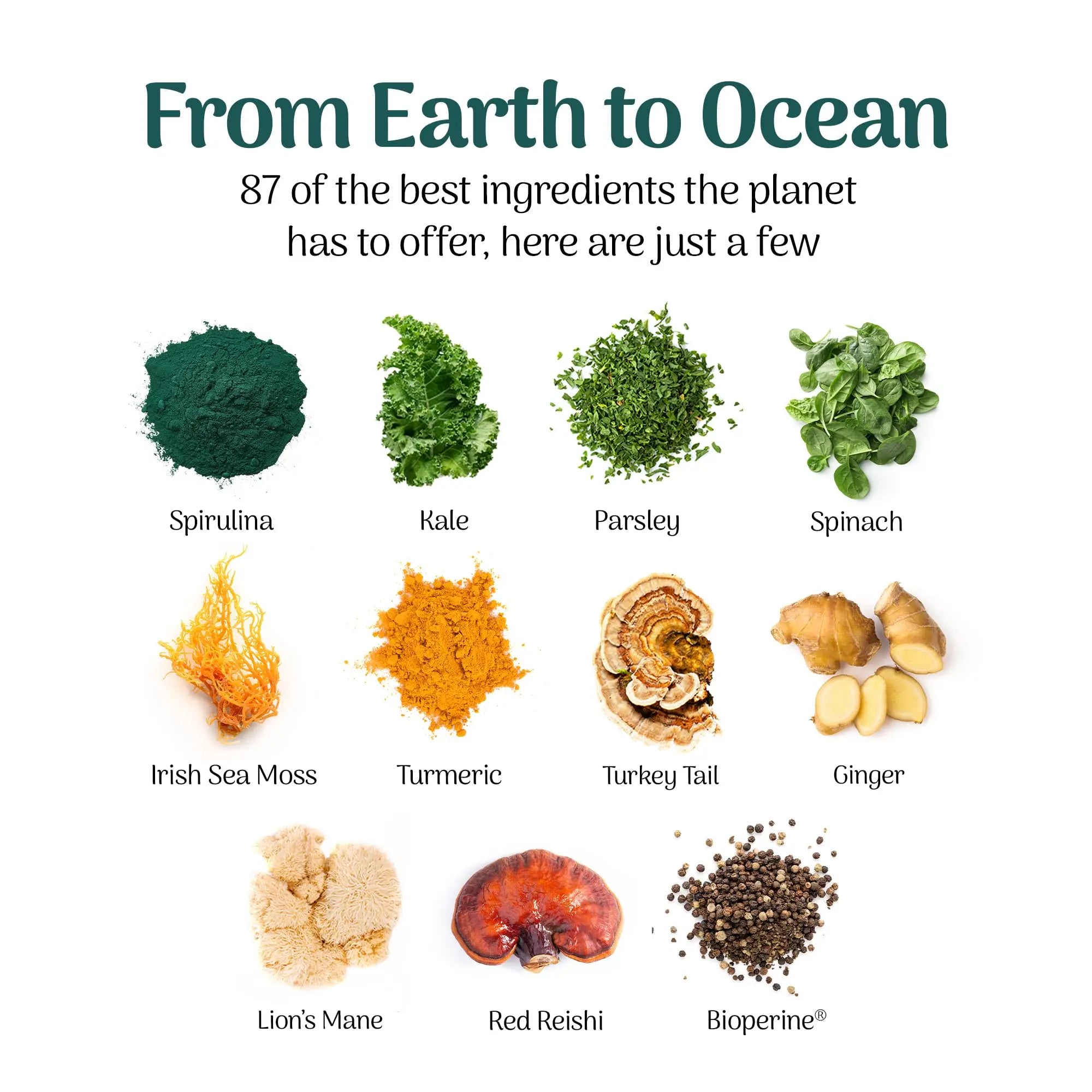 Earth Powder Daily Foundational Nutrition Supplement with 28 Greens & 10 Mushrooms | 87 Nutrients for Energy, Gut Health & Mental Clarity Earth Powdernz supplements