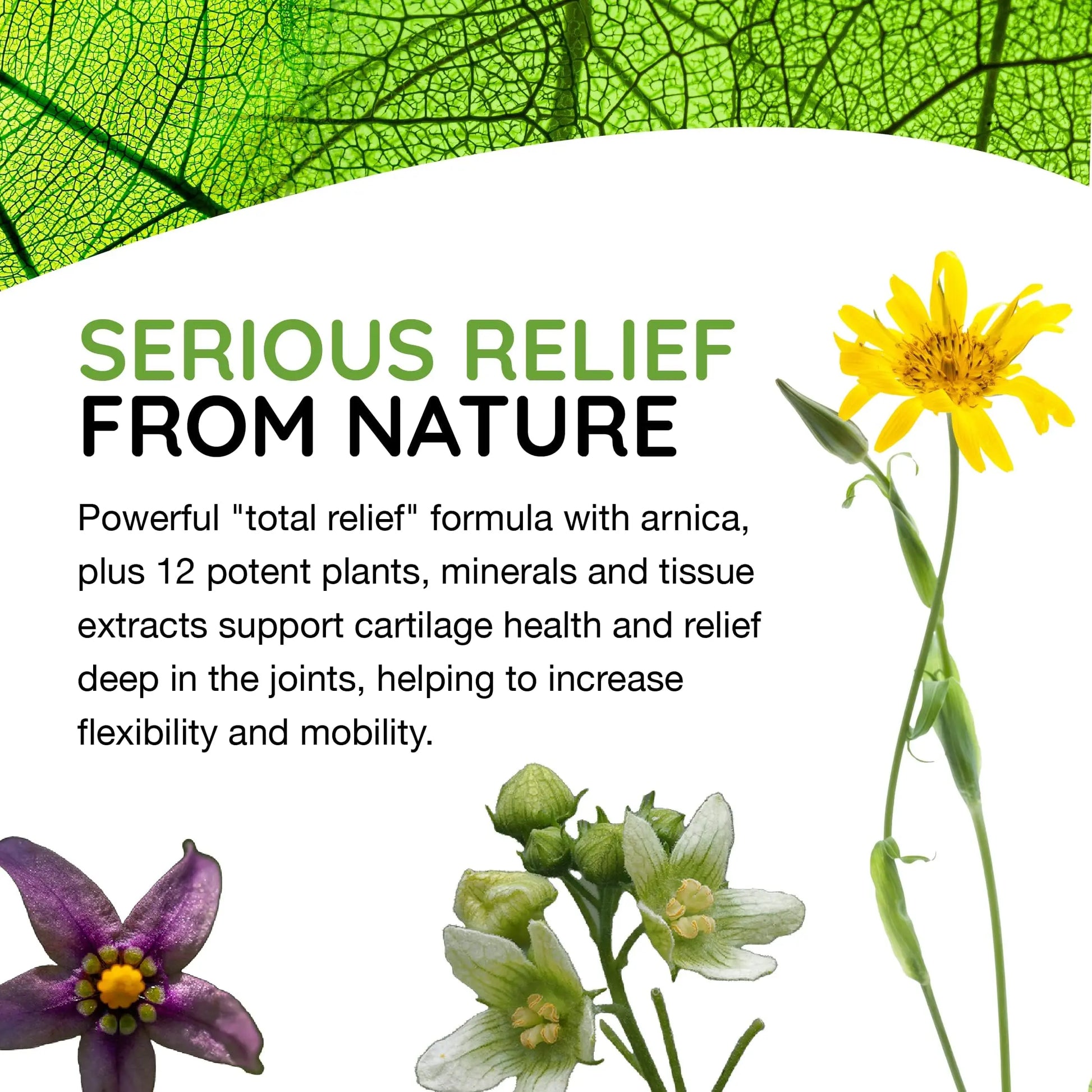 T-Relief Arthritis Arnica +12 Pain Relieving Natural Medicines Help Reduce Soreness Stiffness Aches & Pains in Joints Naturally - 100 Tablets (2 Pack) MediNaturaAu supplements