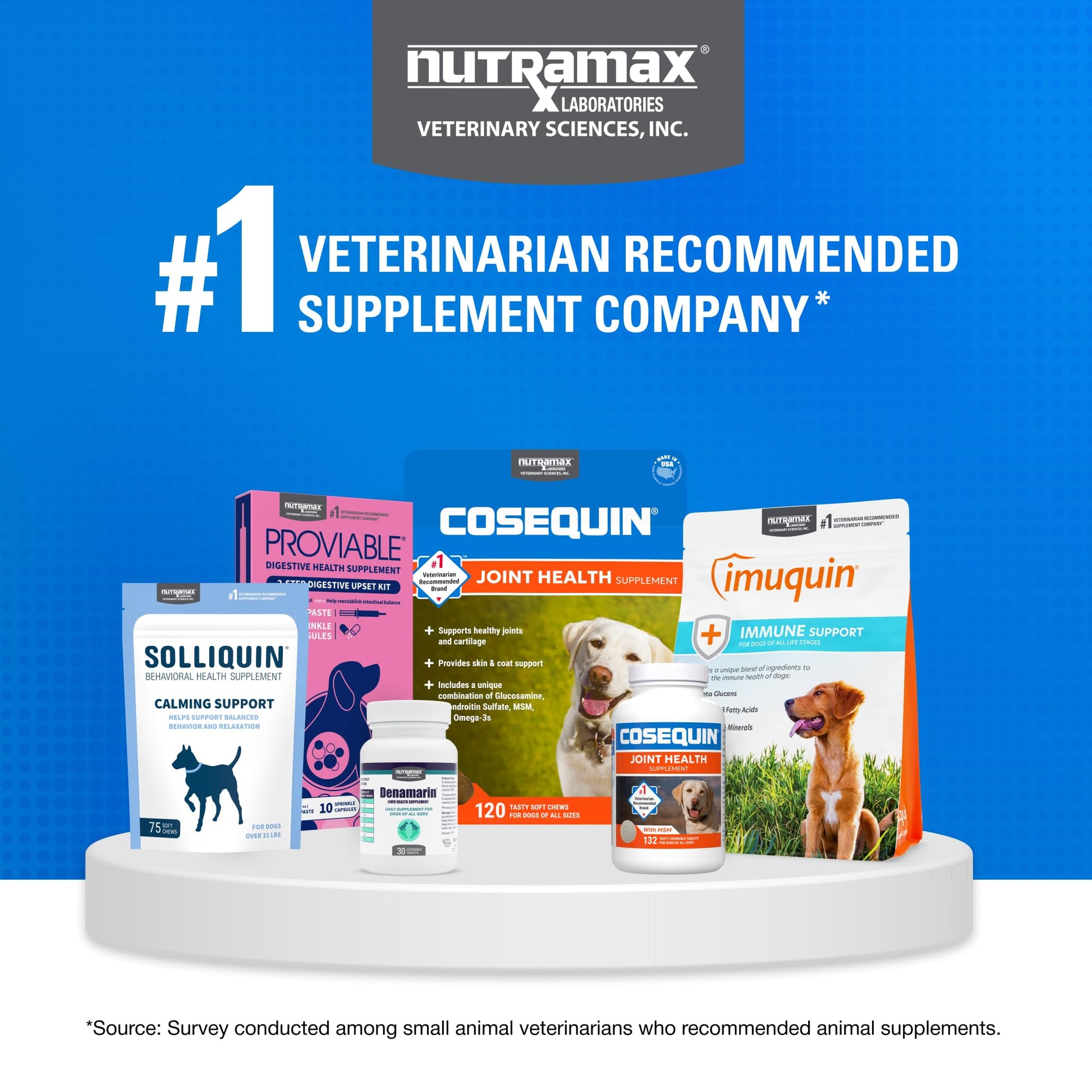 Nutramax Laboratories Cosequin Maximum Strength Joint Health Supplement for Dogs - With Glucosamine, Chondroitin, and MSM, 2 Pack, 264 Total Chewable Tablets Nutramax LaboratoriesAu supplements