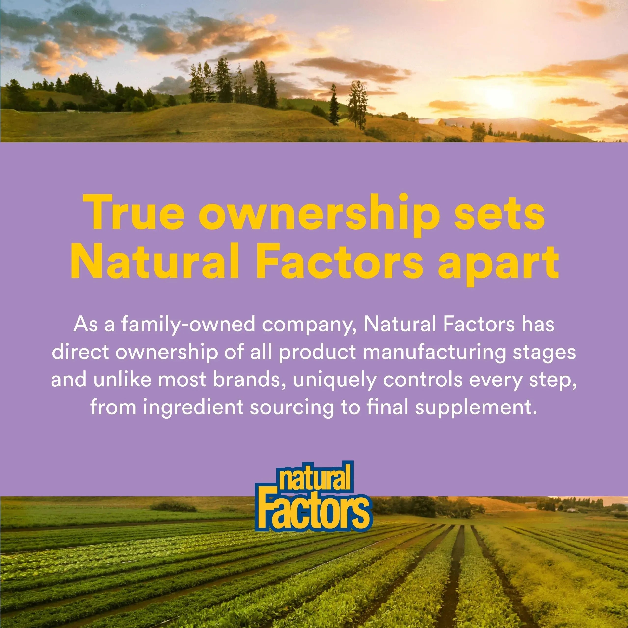 Natural Factors Pharma GABA - Dietary Supplement Supports Calm Sleep & Sleep Quality - Natural, Fast-Working Supplement Aids Focus & Brain Health - 120 Chewable Tablets (60 Servings) Natural Factorsnz supplements