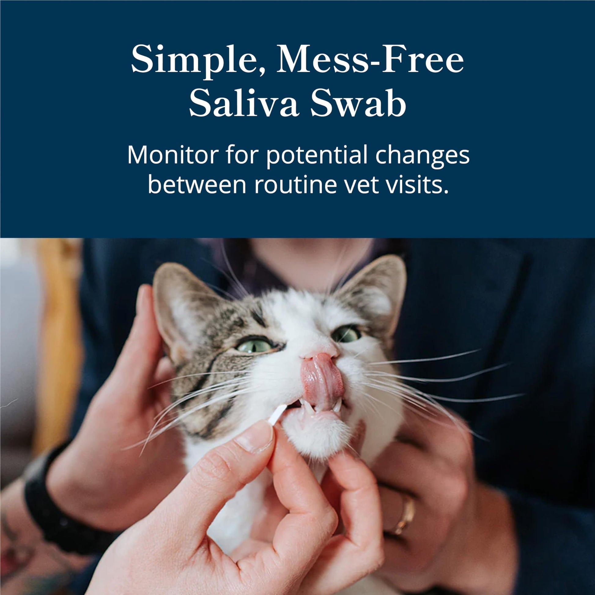 Petivity At-Home Kidney Health Test Kit for Cats — Quick Saliva Urea Test (2-Minute Home Check), Powered by Purina — Help Detect Early Kidney Changes - (Pack of 3) petivityAu supplements