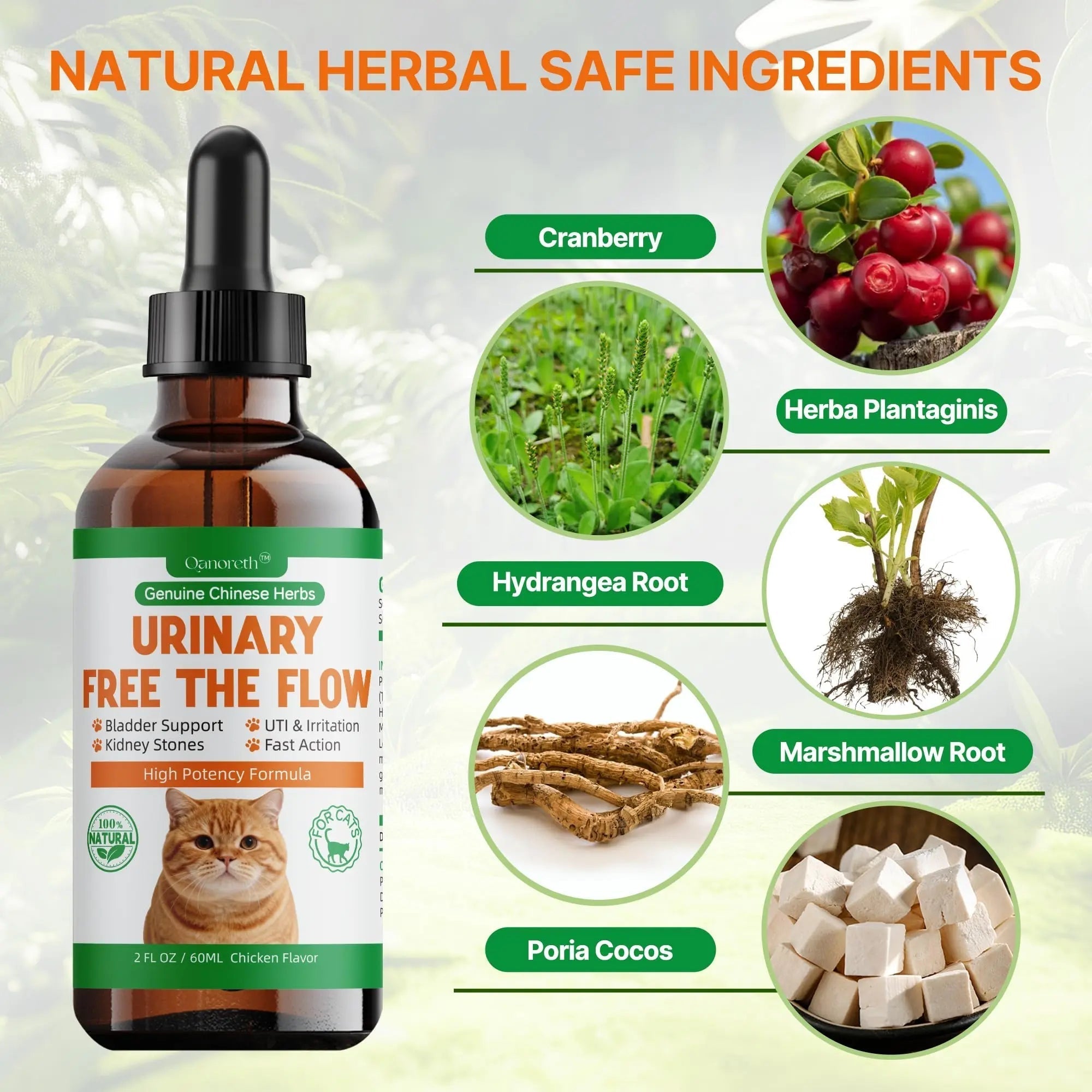 Cat Bladder Remedy for Stones & Crystals, Kidney StonesDissolver forCat- Urinary Free The Flow - Cat Urinary Tract Infection Treatment for Stones, Herbal CatUTI Remedy for Stone Relief & Prevention QanorethAu supplements