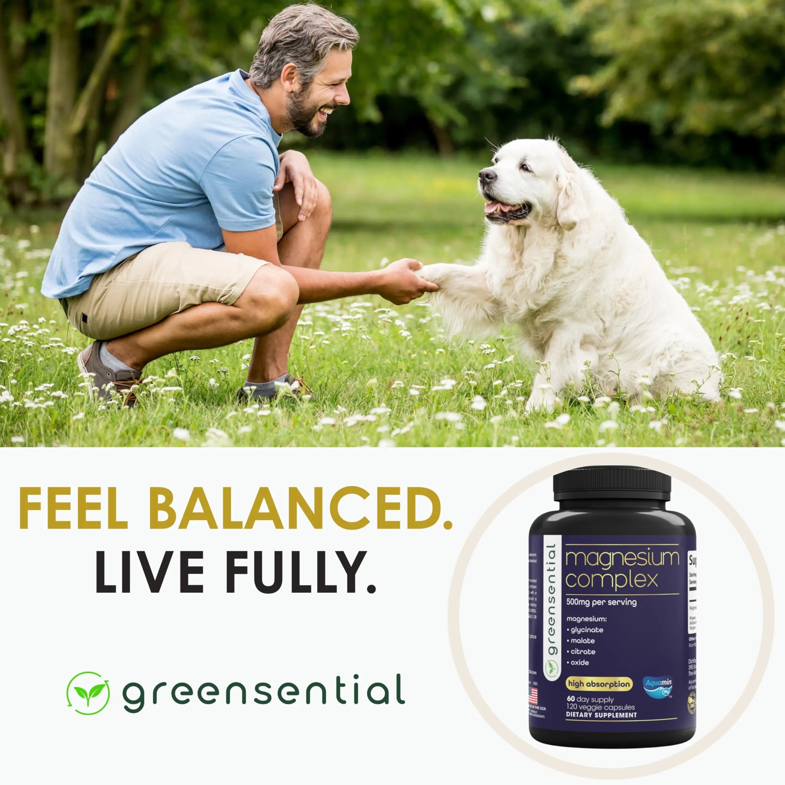 Greensential 5-in-1 Magnesium Complex 500mg | Glycinate, Malate, Citrate, Oxide & Aquamin® | for Sleep, Muscle & Heart Support | High Absorption, Vegan, 120 Capsules Greensentialnz supplements
