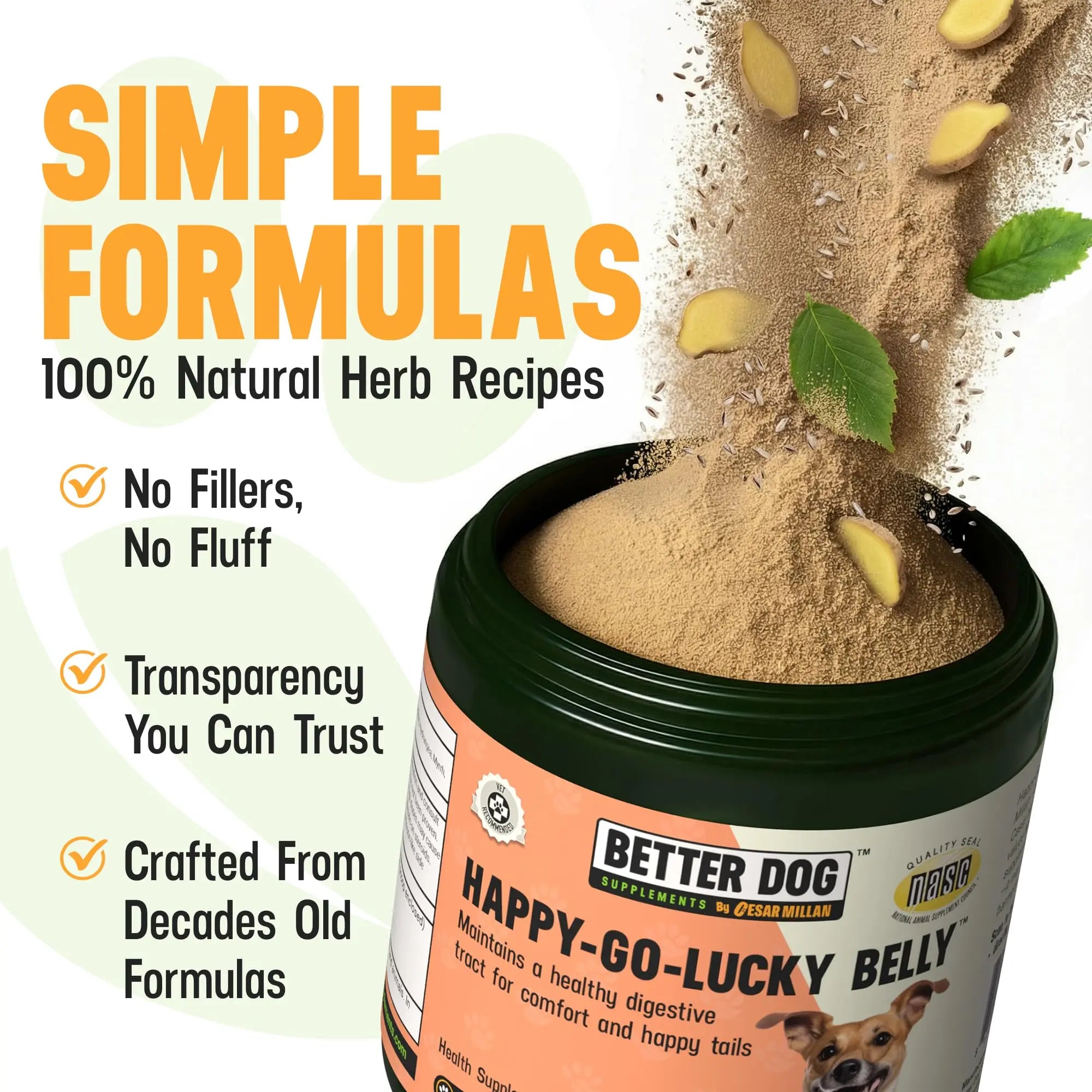 Better Dog Supplements Happy-Go-Lucky Belly by Cesar Millan - Natural Dog Digestive Support Powder – Dog Constipation Relief, Gut Balance & Regularity with Herbal Fiber for Dogs – 4oz (60-Day Supply) Better Dog Supplements By Cesar Millannz supplements