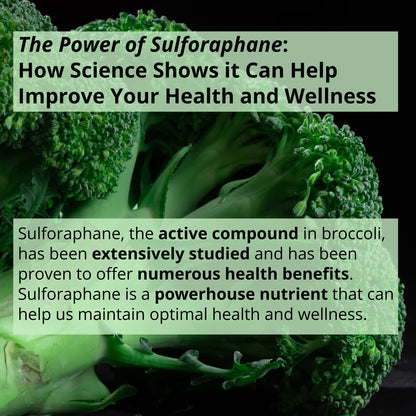 GIGANTIC Sulforaphane + Myrosinase 10mg (120 Capsules) - Includes Vitamin C GIGANTICUS supplements