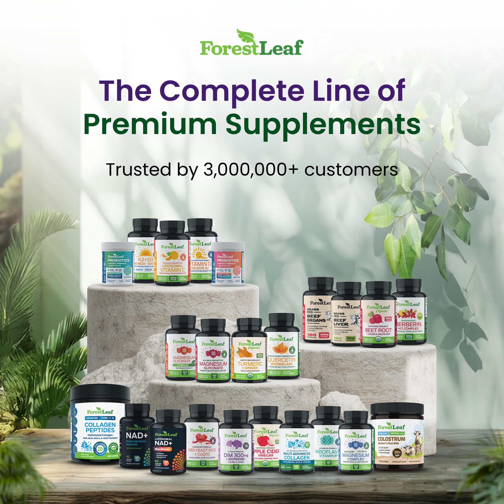 ForestLeaf Glucosamine Chondroitin MSM Joint Supplement Complex - 1200mg - 120 Caps ForestLeafAu supplements