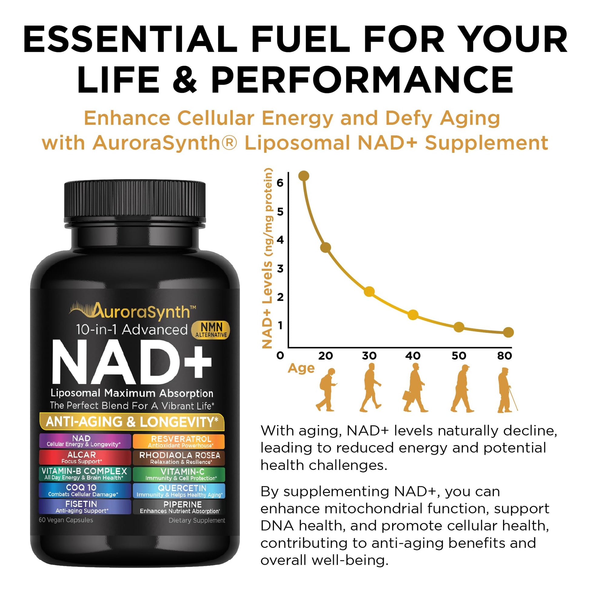 NAD+ Supplement Liposomal Capsules - Max Absorption for Cellular Energy, Healthy Aging, Brain Function & DNA Health - Vegan, Non-GMO, Gluten-Free Supplement - 60 Capsules - Supports NAD Levels AuroraSynthAu supplements