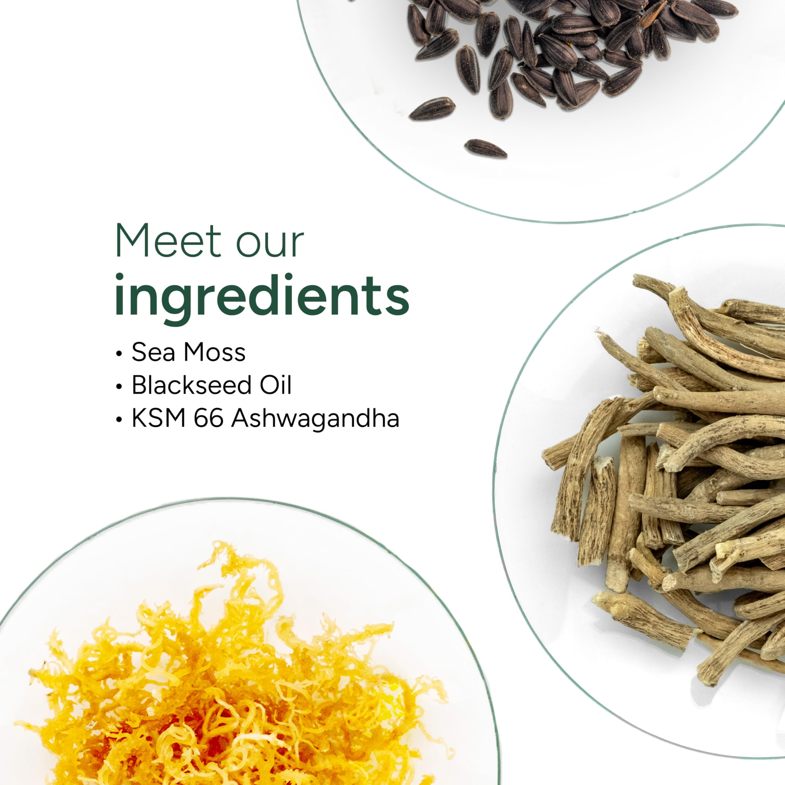 ROOT LABS Sea Moss Gummies I 92+ Minerals I Black Seed Oil I KSM 66 Ashwagandha I Lab Tested I No Added Sugar | for Men, Women I Non-GMO I 100% Natural & Organic I 1600 mg I 120 Gummy ROOT LABSAu supplements