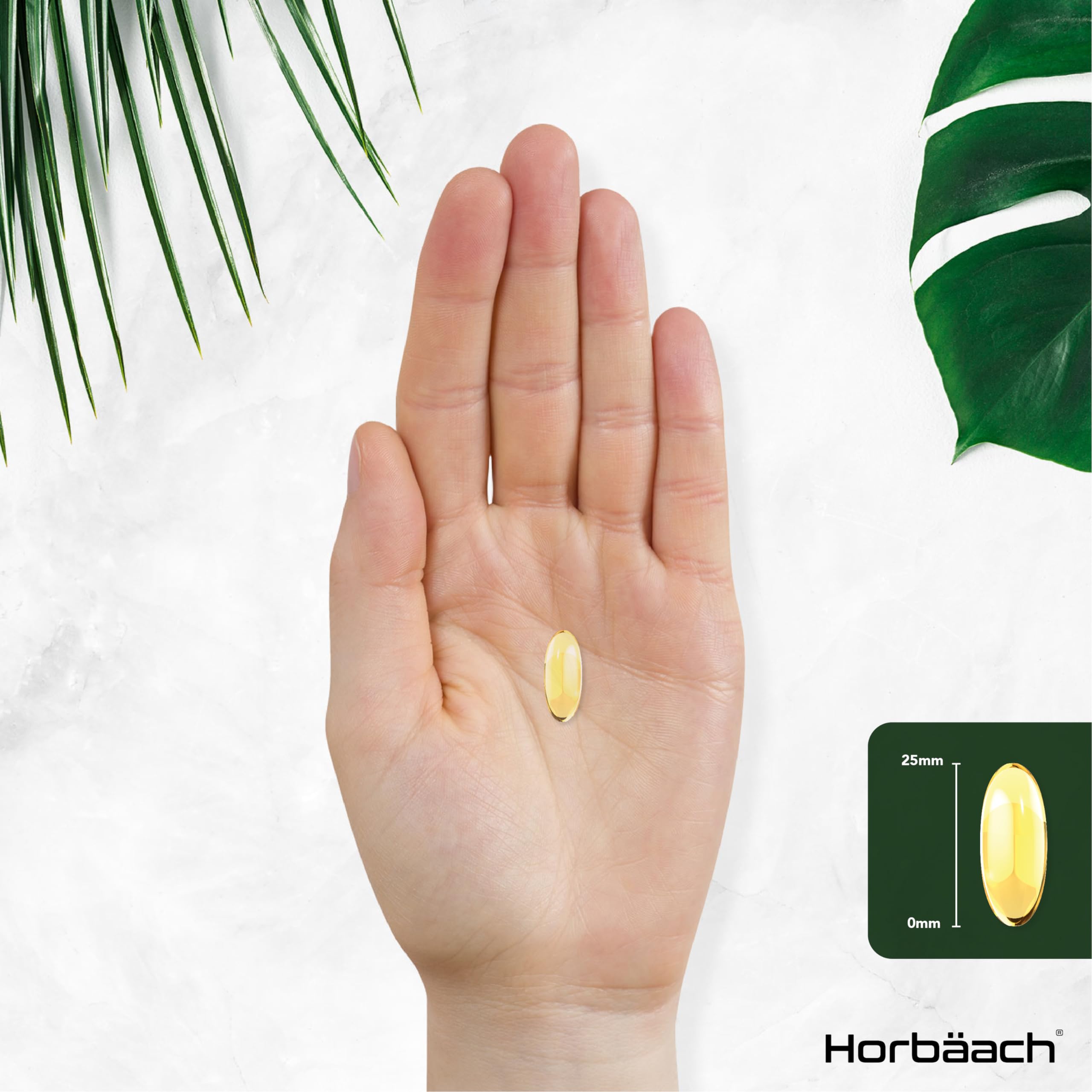 Omega 3 6 9 Capsules High Strength | 3000mg | 120 Softgels | Triple Omega 369 HorbäachUS supplements