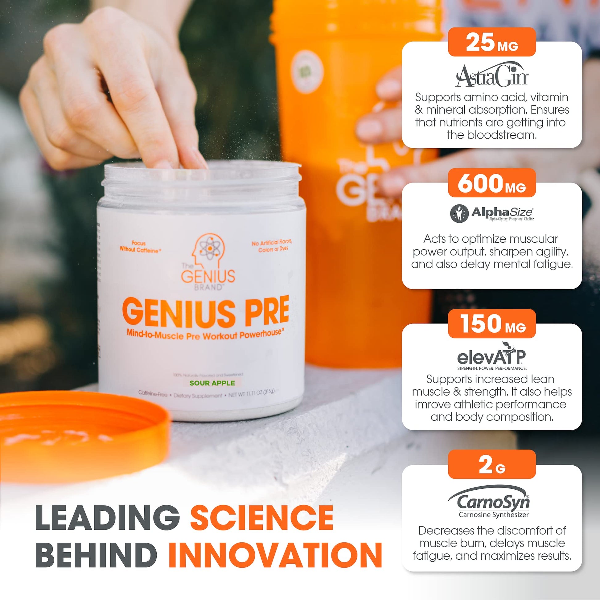 Genius Pre Workout Powder, Sour Apple, and Genius Micronized Creatine Monohydrate The Genius BrandAu supplements